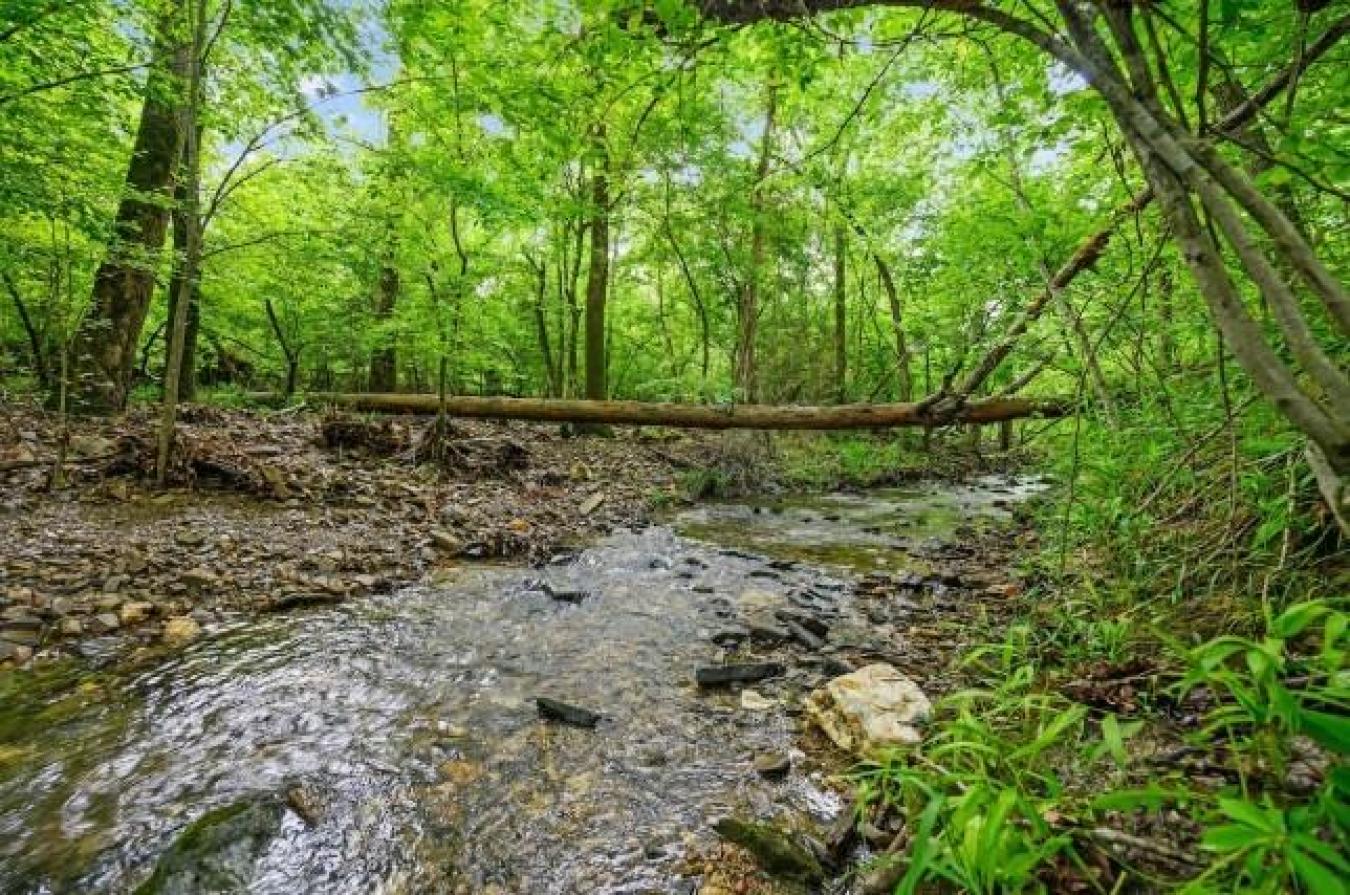 Broken Bow, Oklahoma, 74728, United States, 5 Bedrooms Bedrooms, ,6 BathroomsBathrooms,Residential,For Sale,1797315