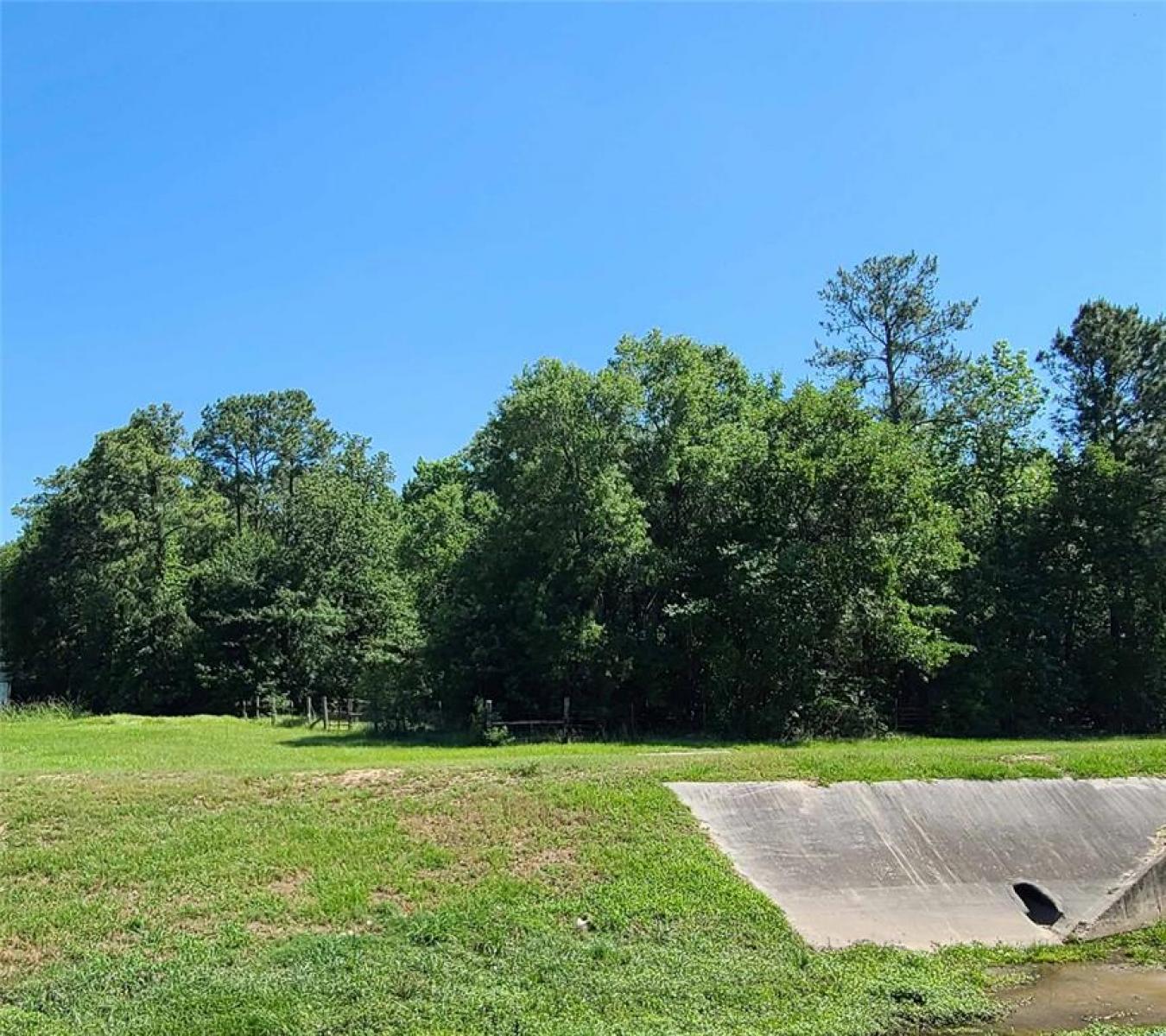 Conroe, Texas, 77385, United States, ,Residential,For Sale,1800989