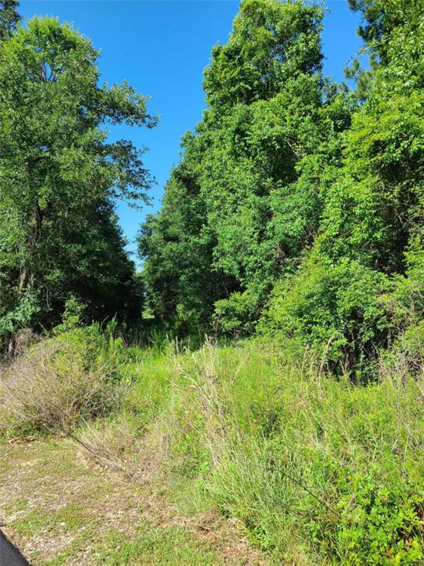 Conroe, Texas, 77385, United States, ,Residential,For Sale,1800989