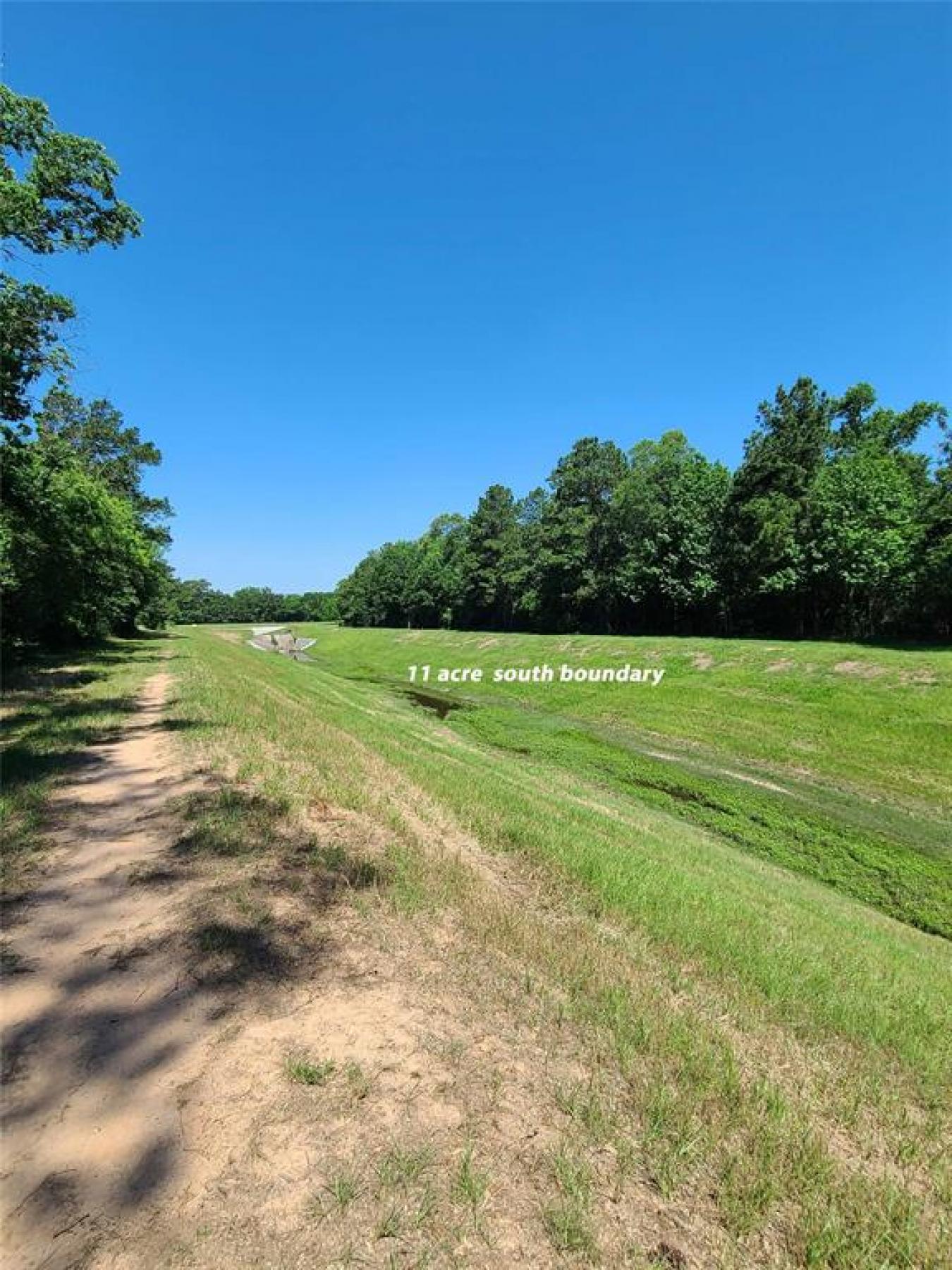 Conroe, Texas, 77385, United States, ,Residential,For Sale,1800989