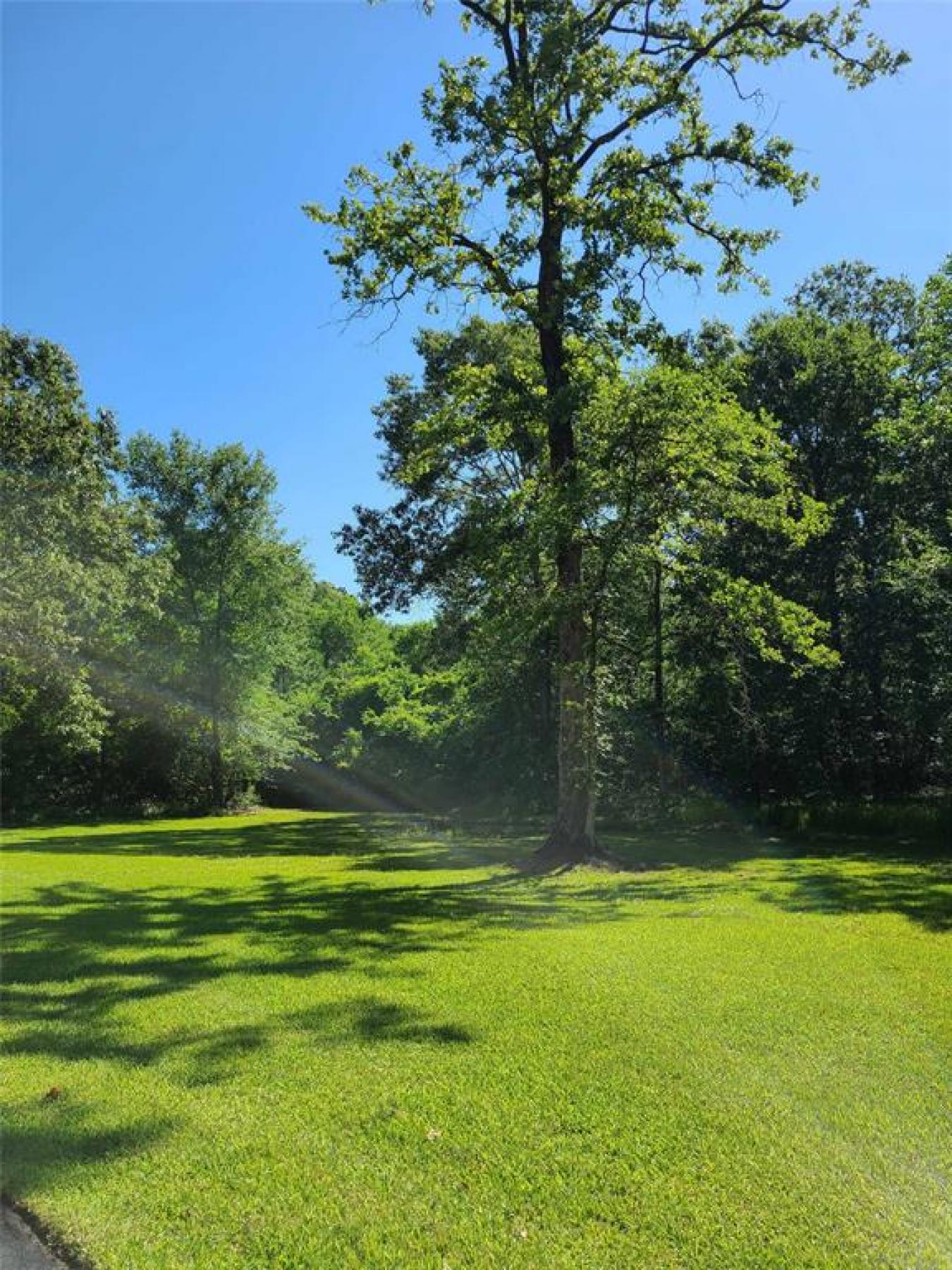 Conroe, Texas, 77385, United States, ,Residential,For Sale,1800989