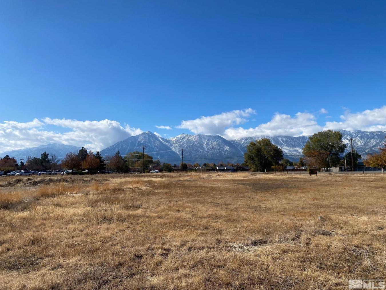 Gardnerville, Nevada, 89410, United States, ,Residential,For Sale,1811683