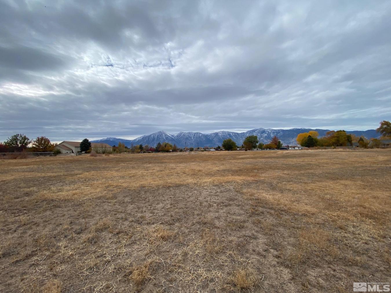 Gardnerville, Nevada, 89410, United States, ,Residential,For Sale,1811683