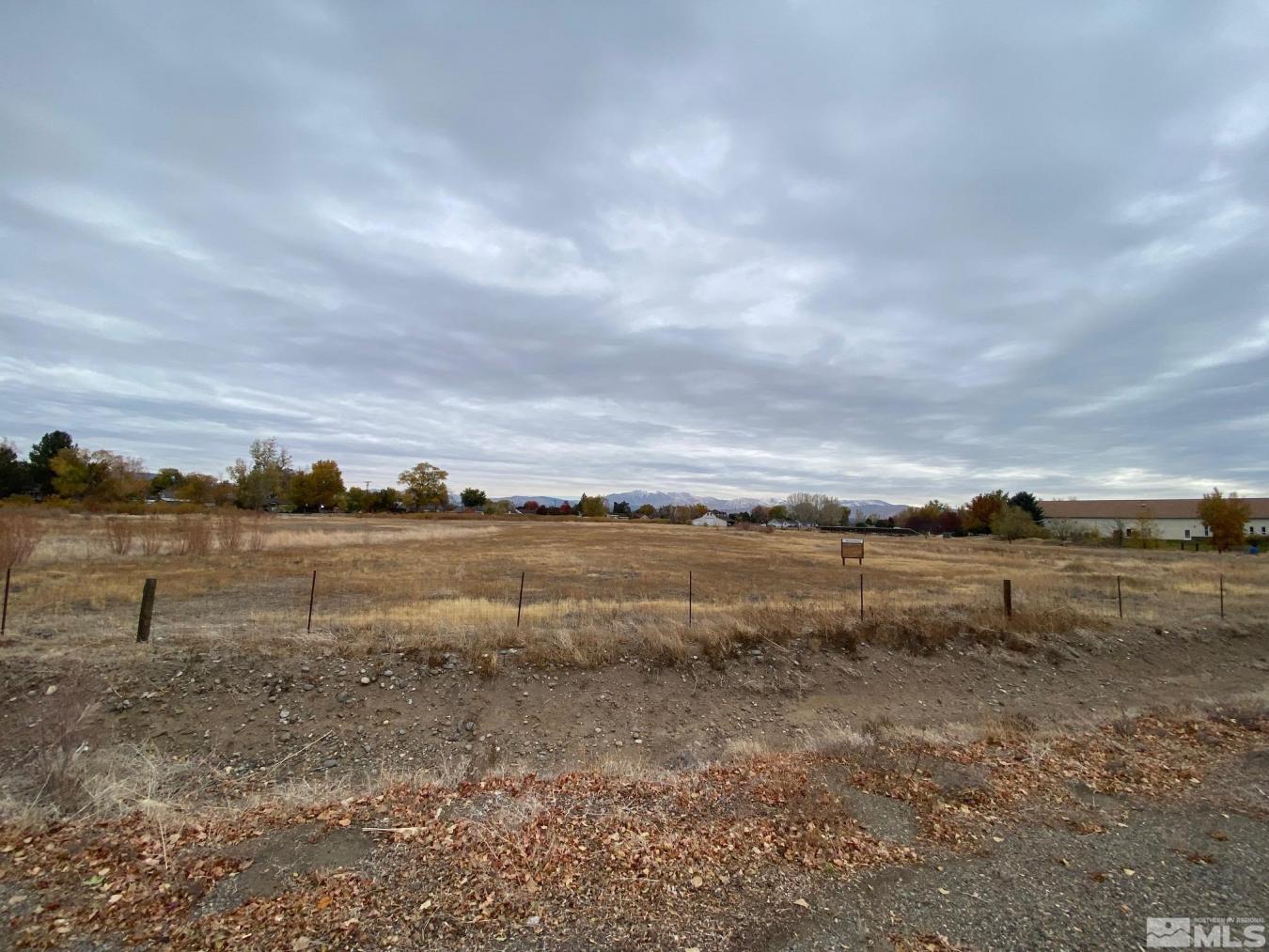 Gardnerville, Nevada, 89410, United States, ,Residential,For Sale,1811683