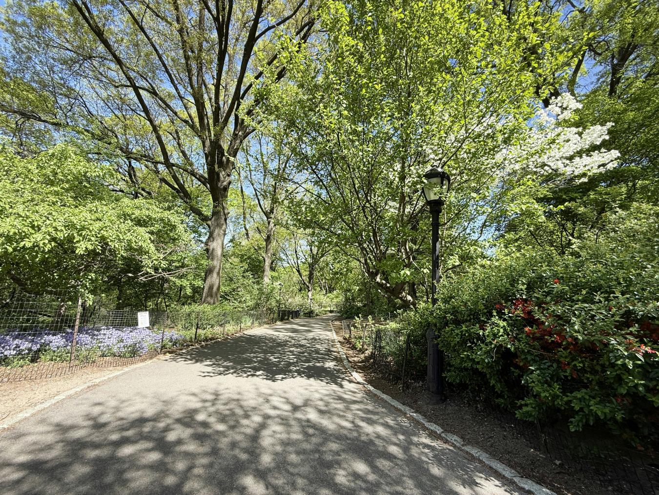 New York, New York, 10025, United States, 3 Bedrooms Bedrooms, ,3 BathroomsBathrooms,Residential,For Sale,1824333