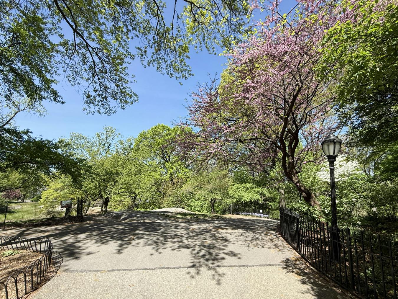 New York, New York, 10025, United States, 3 Bedrooms Bedrooms, ,3 BathroomsBathrooms,Residential,For Sale,1824333