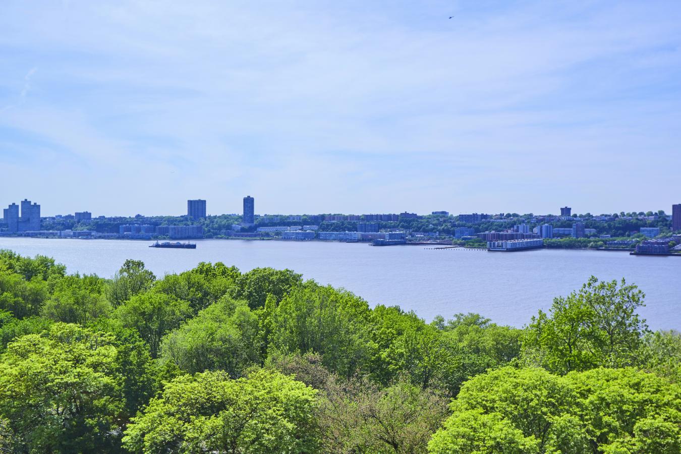 New York, New York, 10025, United States, 3 Bedrooms Bedrooms, ,3 BathroomsBathrooms,Residential,For Sale,1824333
