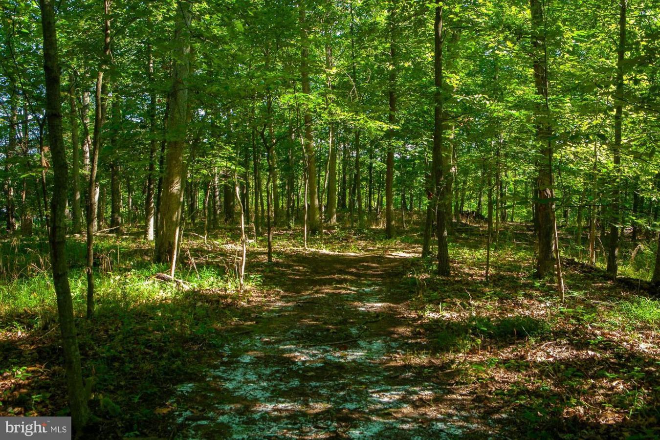 Shepherdstown, West Virginia, 25443, United States, ,Residential,For Sale,1820689