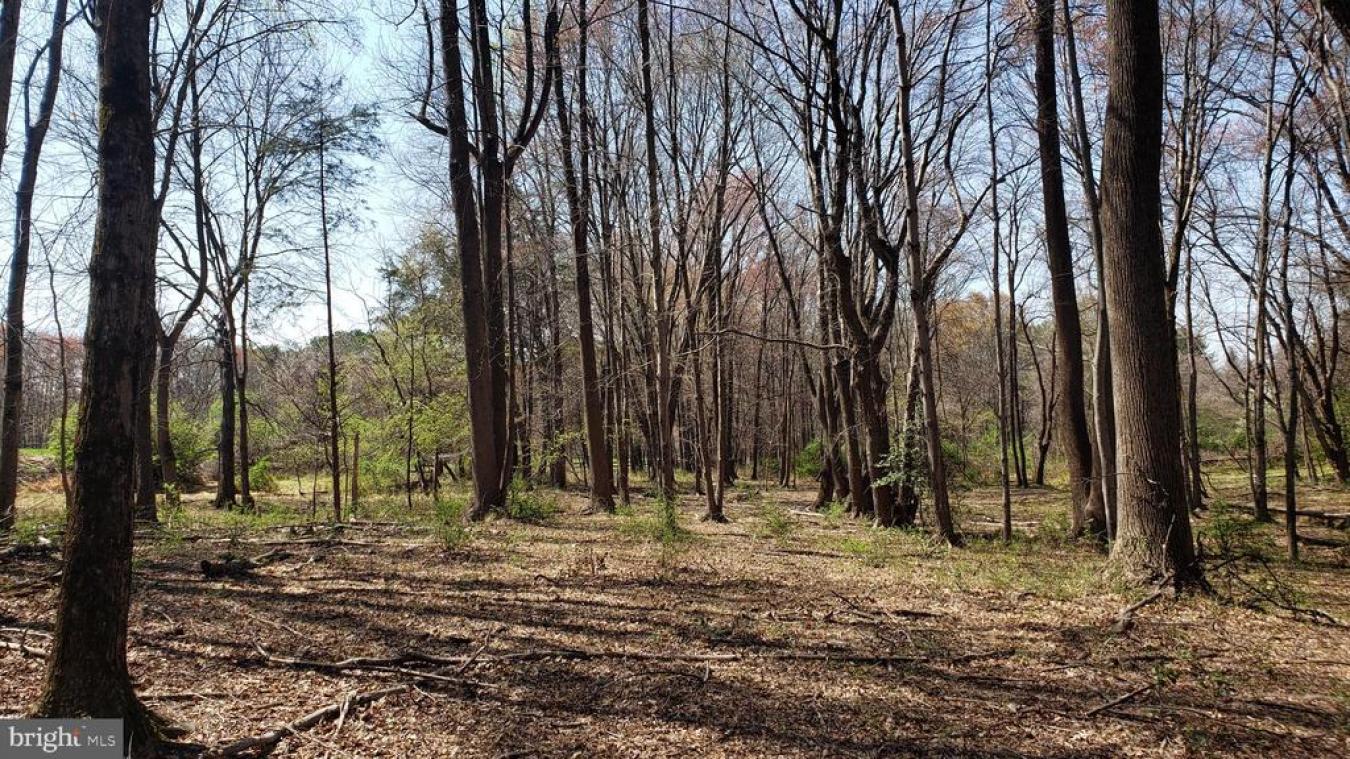 Great Falls, Virginia, 22066, United States, ,Residential,For Sale,1829788