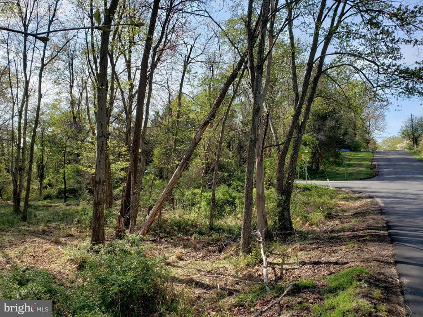 Great Falls, Virginia, 22066, United States, ,Residential,For Sale,1829788