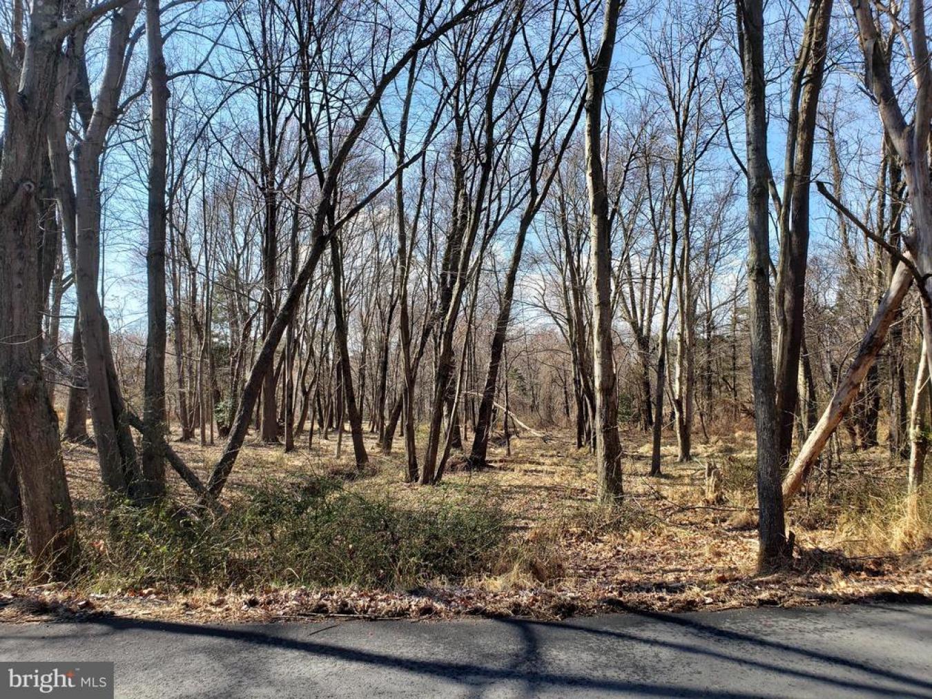 Great Falls, Virginia, 22066, United States, ,Residential,For Sale,1829788