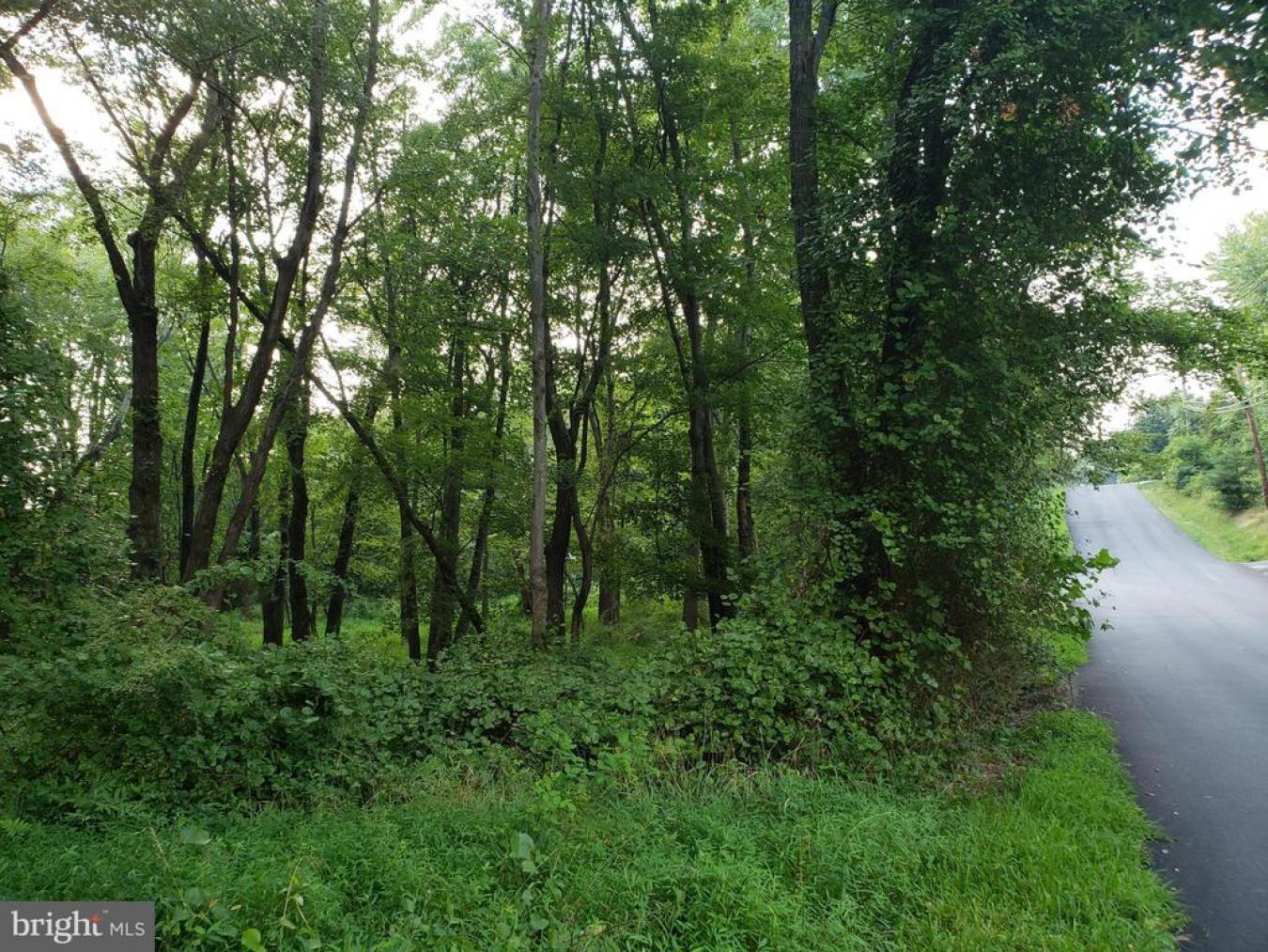 Great Falls, Virginia, 22066, United States, ,Residential,For Sale,1829788