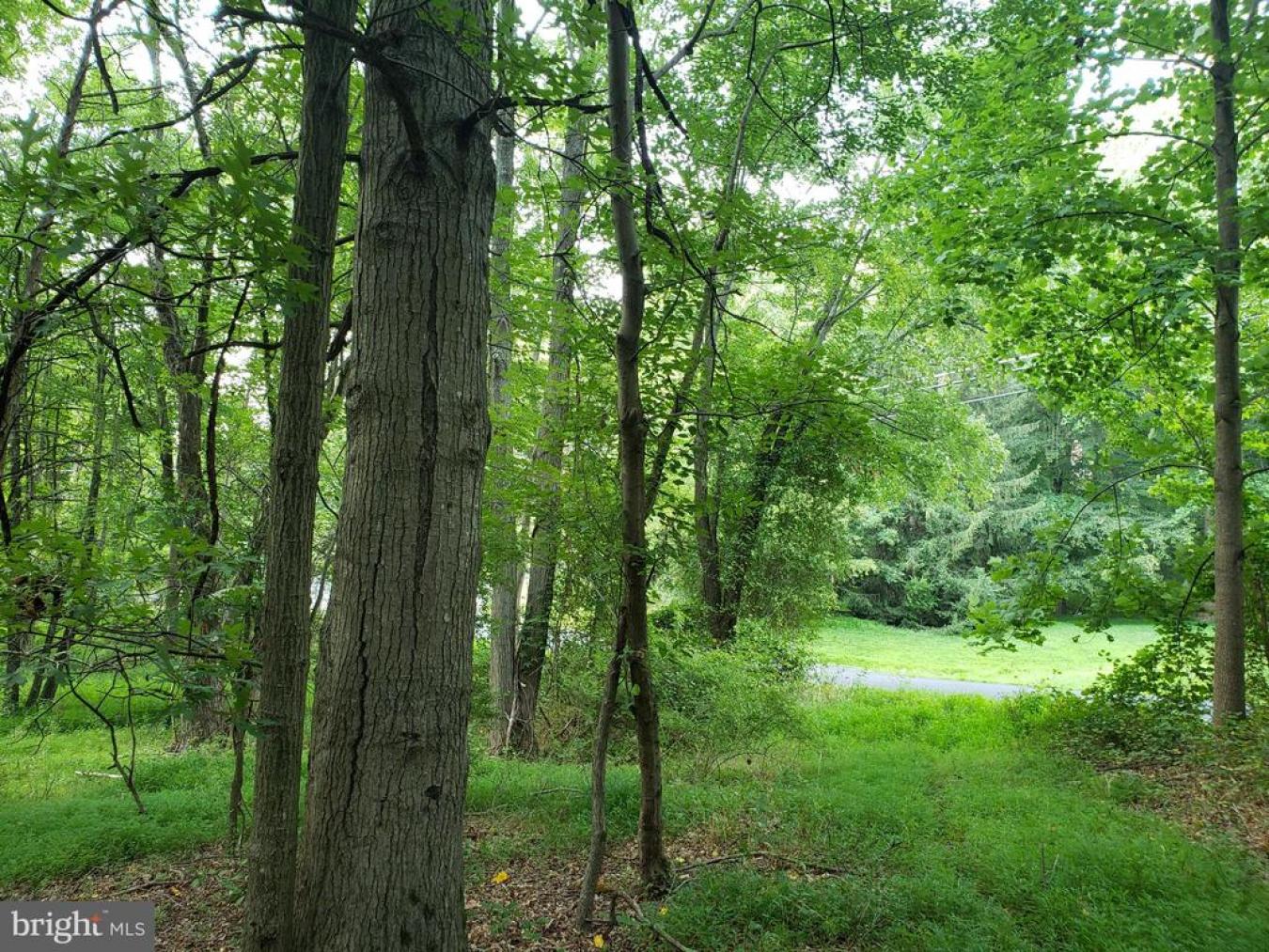 Great Falls, Virginia, 22066, United States, ,Residential,For Sale,1829788
