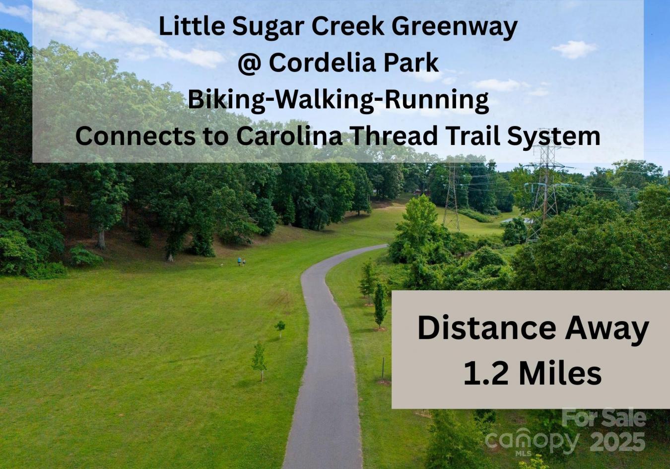 Charlotte, North Carolina, 28205, United States, 4 Bedrooms Bedrooms, ,3 BathroomsBathrooms,Residential,For Sale,1834225