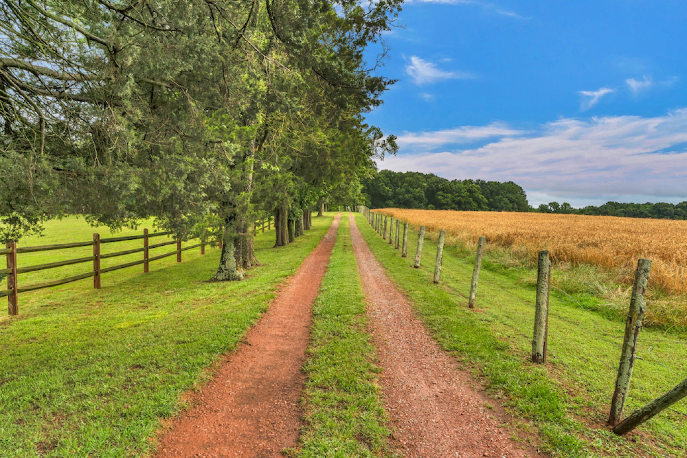 Marshville, North Carolina, 28103, United States, 4 Bedrooms Bedrooms, ,-5 BathroomBathrooms,Residential,For Sale,1839656