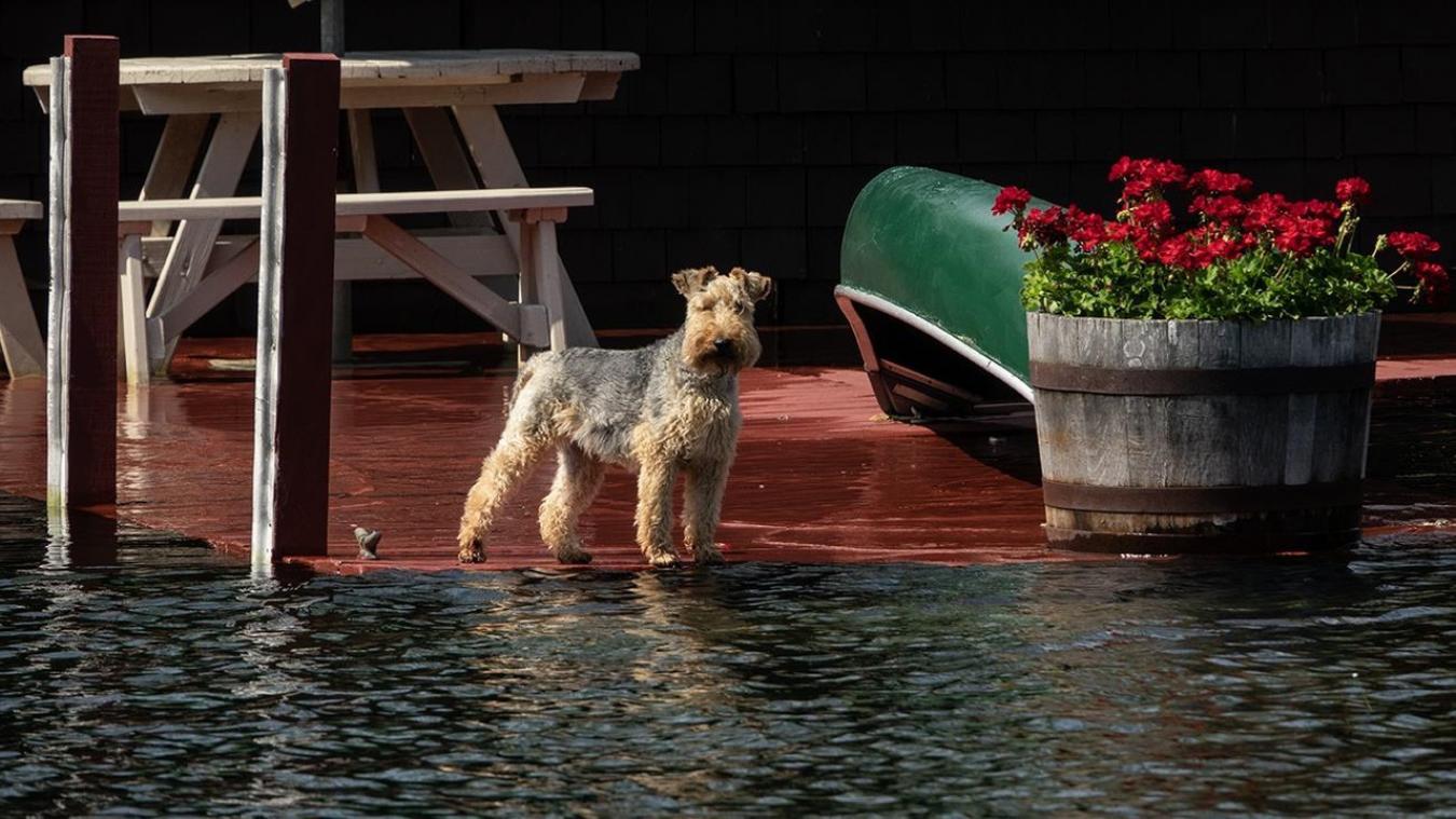 Meredith, New Hampshire, 03253, United States, 4 Bedrooms Bedrooms, ,1 BathroomBathrooms,Residential,For Sale,1831653