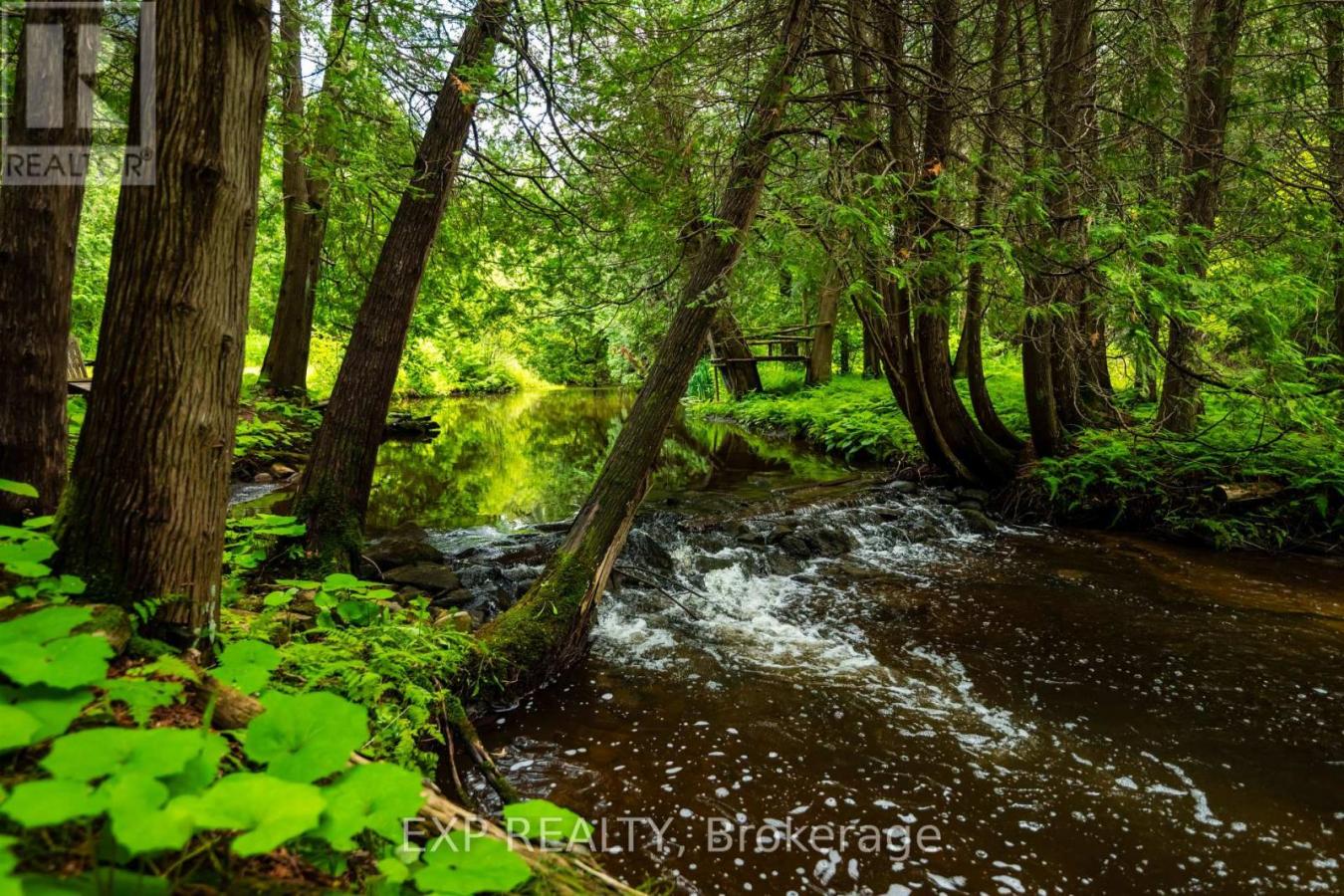 Mulmur, ON, L9V0N6, Canada, 5 Bedrooms Bedrooms, ,Residential,For Sale,1860187