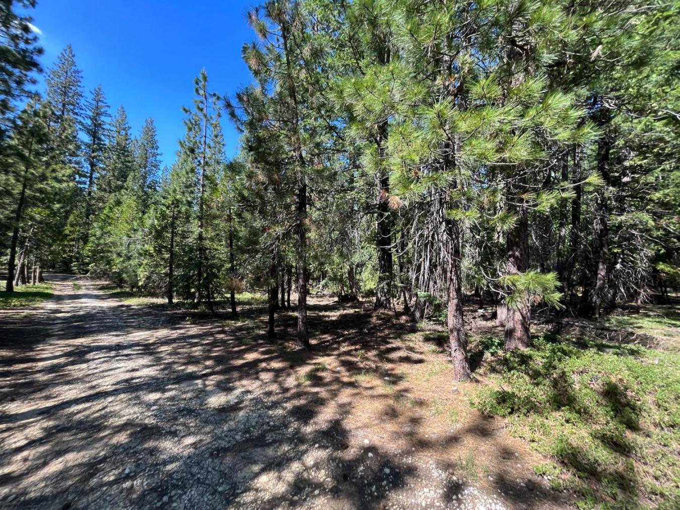 Experience the charm of this 7.26-acre property, ideally located minut – image 2