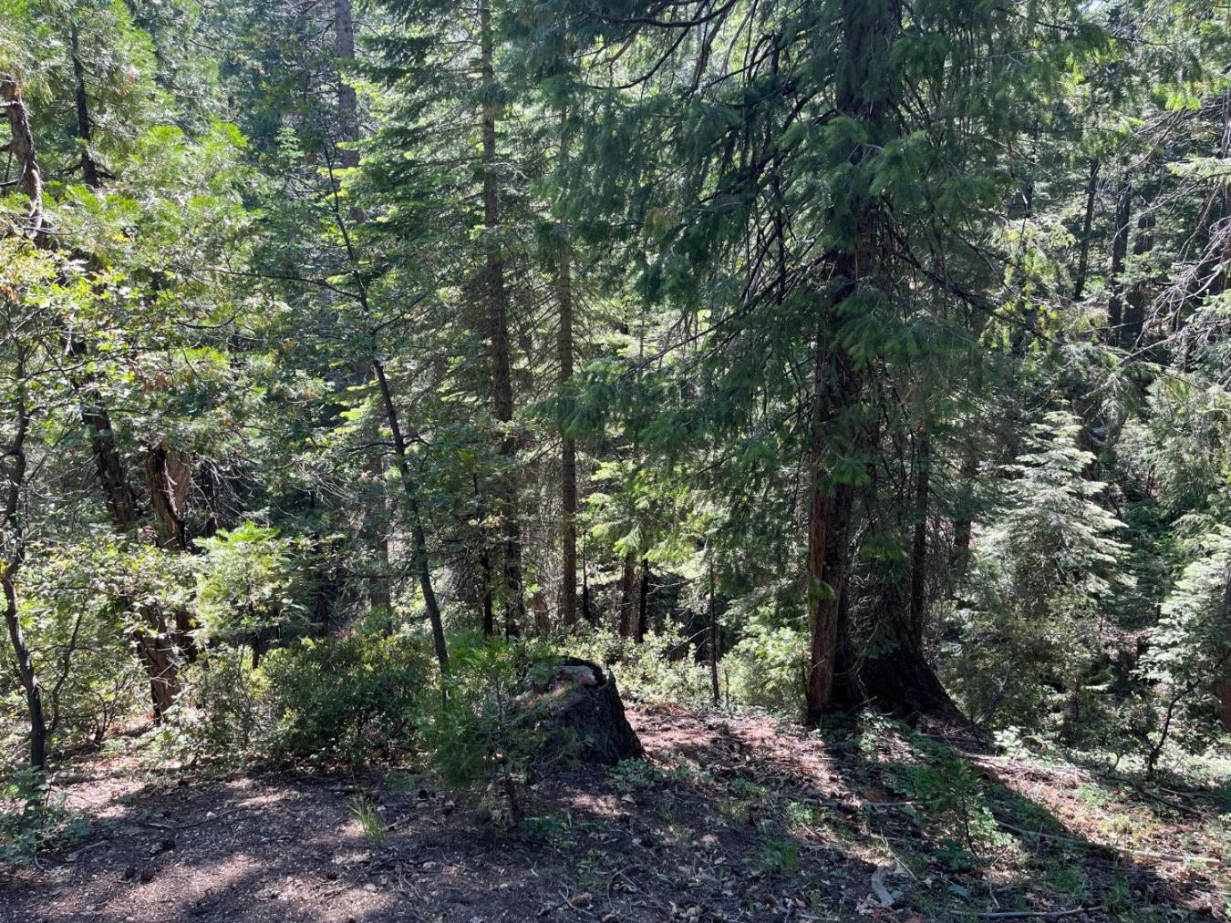 Experience the charm of this 7.26-acre property, ideally located minut – image 3