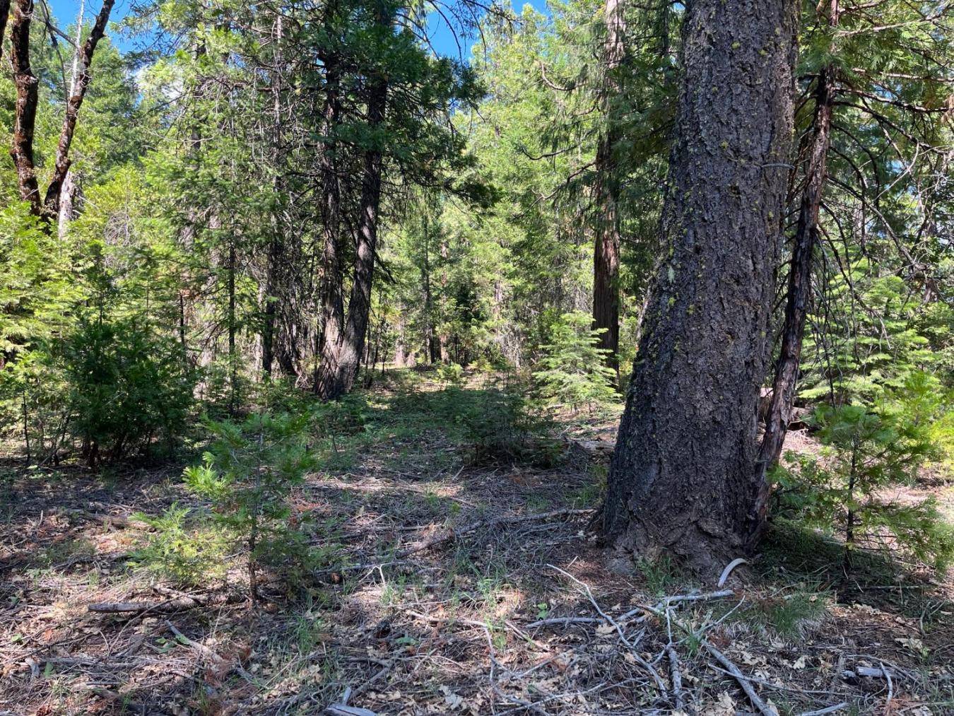 Experience the charm of this 7.26-acre property, ideally located minut – image 4