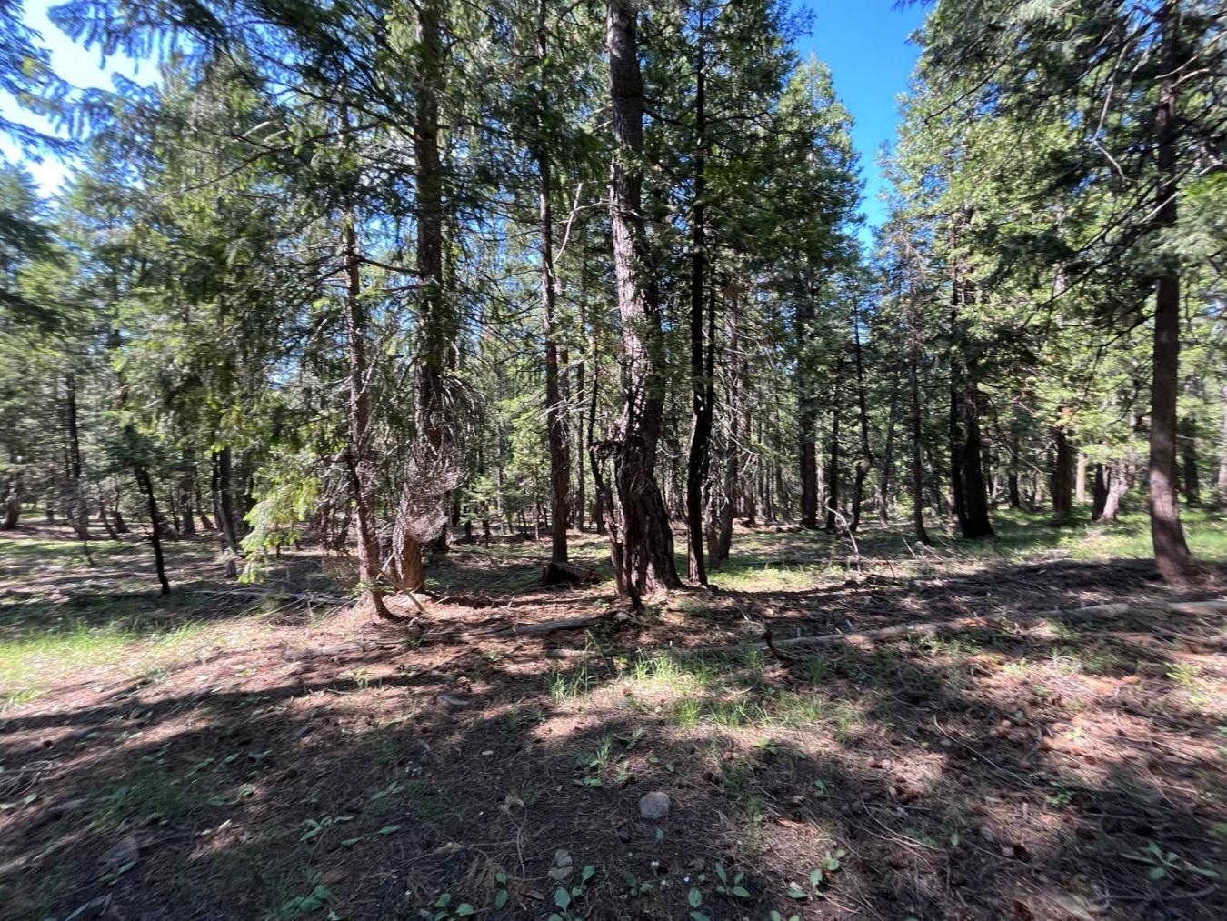 Experience the charm of this 7.26-acre property, ideally located minut – image 5
