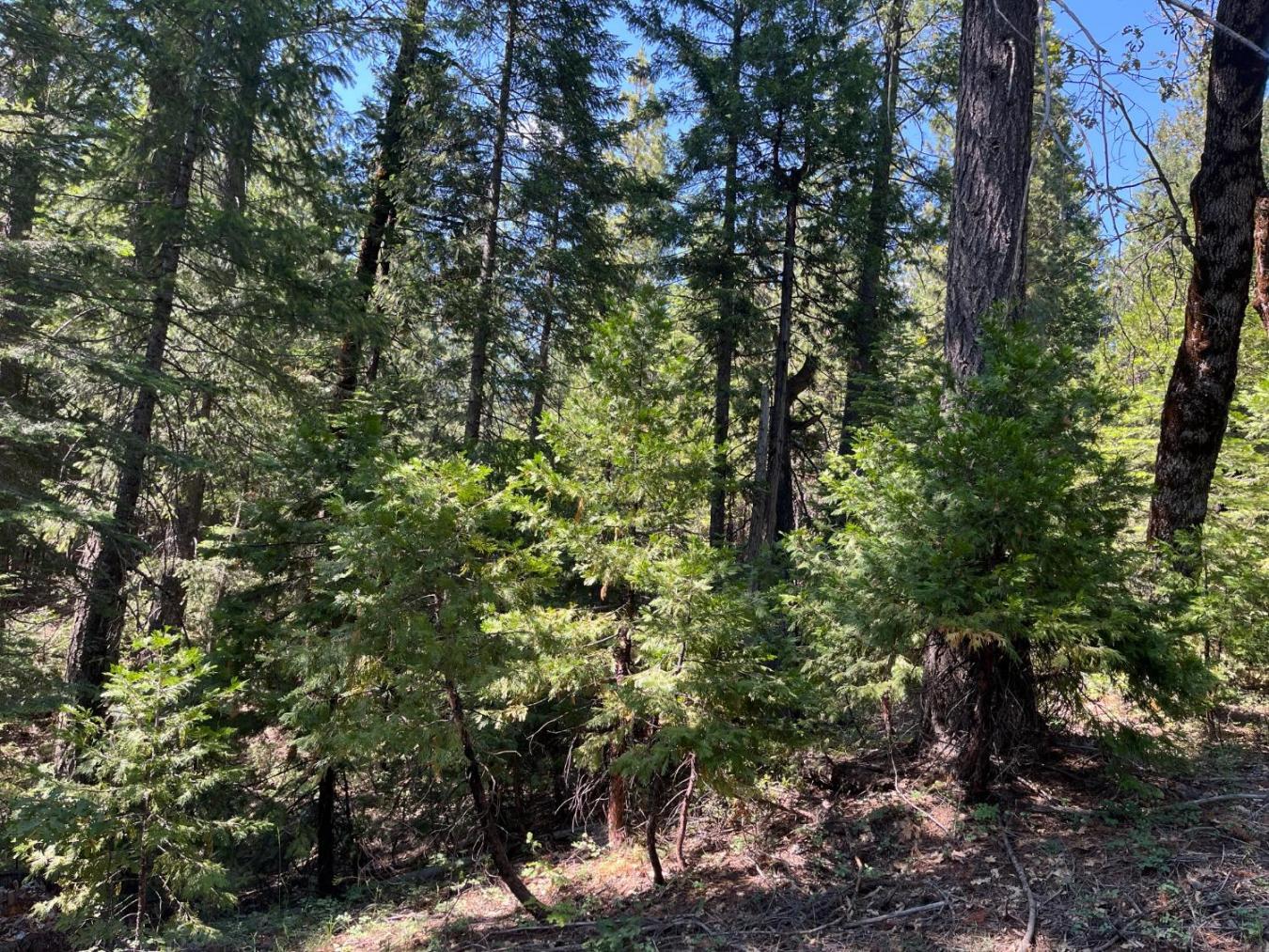 Experience the charm of this 7.26-acre property, ideally located minut – image 6