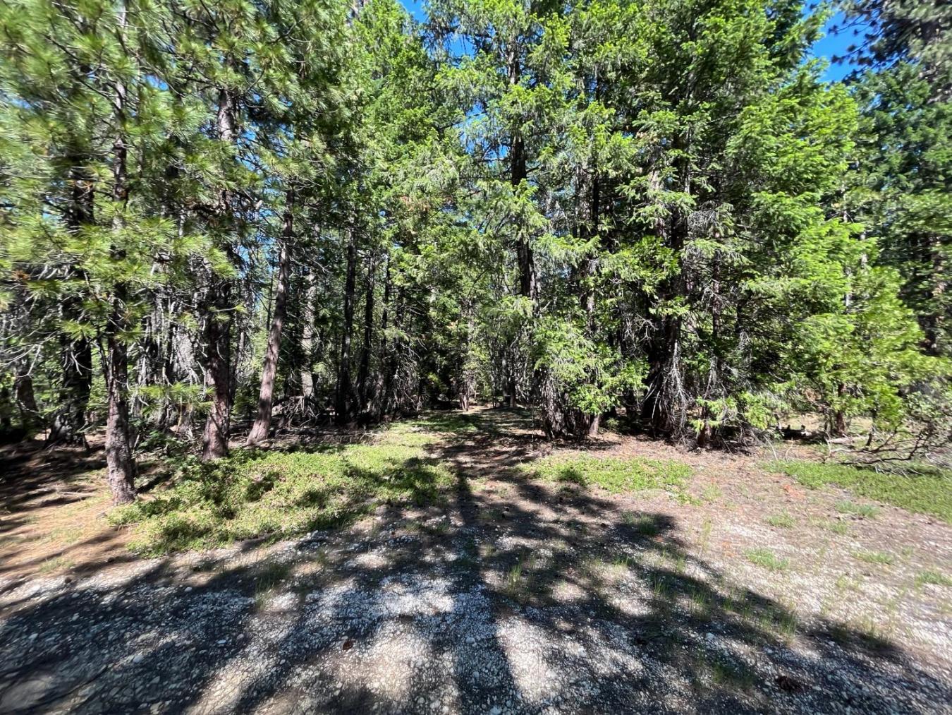 Experience the charm of this 7.26-acre property, ideally located minut – image 7
