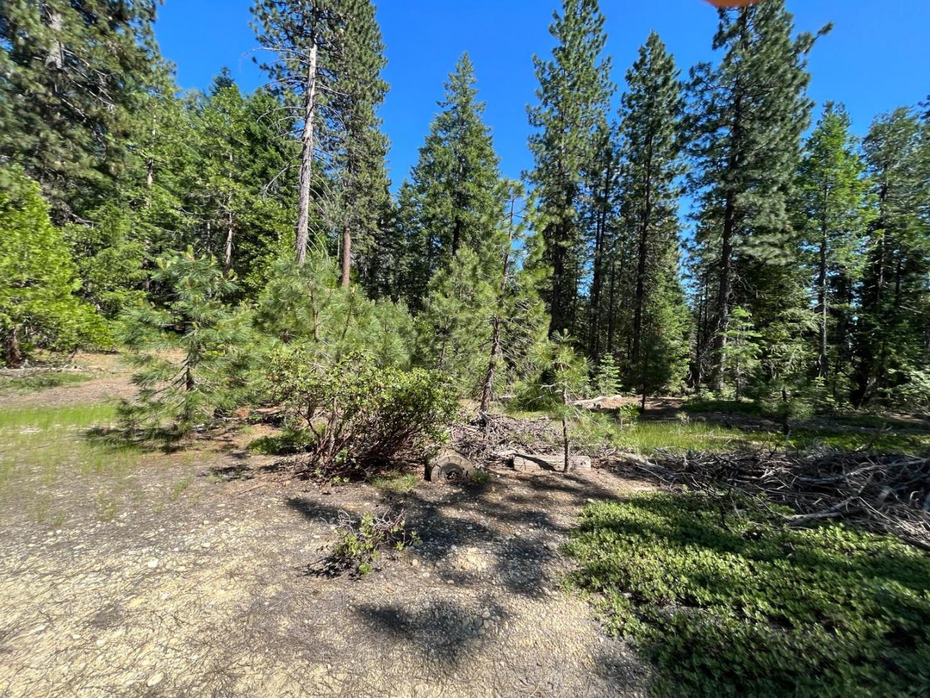Experience the charm of this 7.26-acre property, ideally located minut – image 1