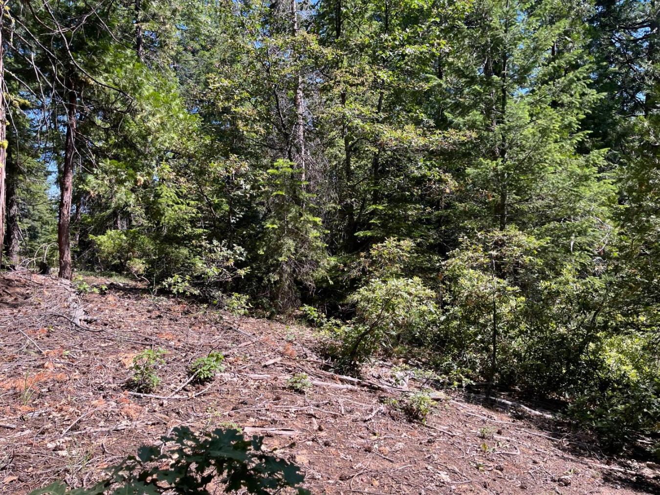 Experience the charm of this 7.26-acre property, ideally located minut – image 8
