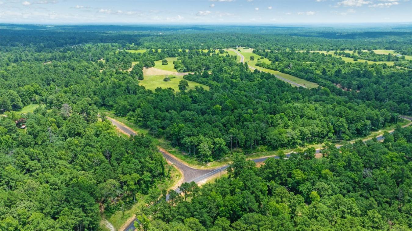 000 PR 1314, Centerville, TX, 75833, United States, ,Residential,For Sale,000 PR 1314,216084