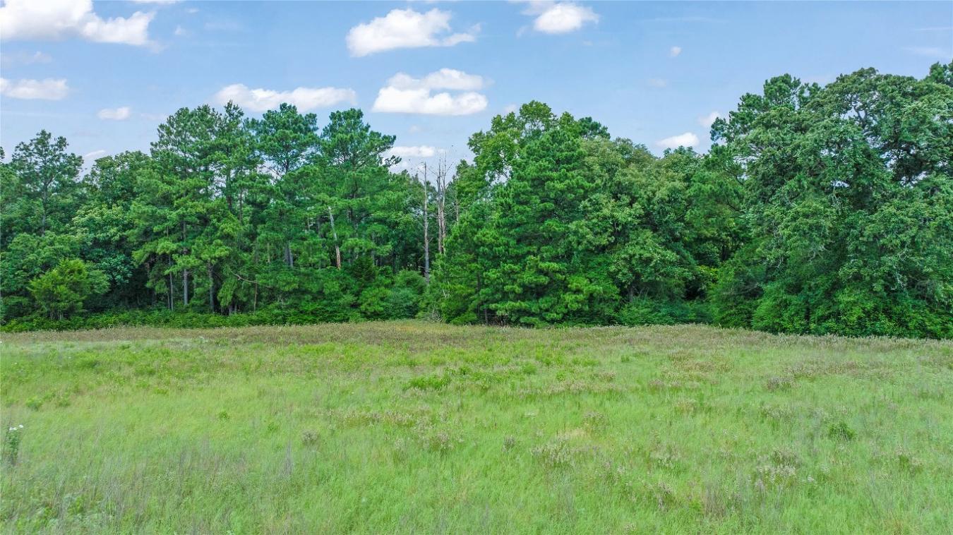 000 PR 1314, Centerville, TX, 75833, United States, ,Residential,For Sale,000 PR 1314,216084