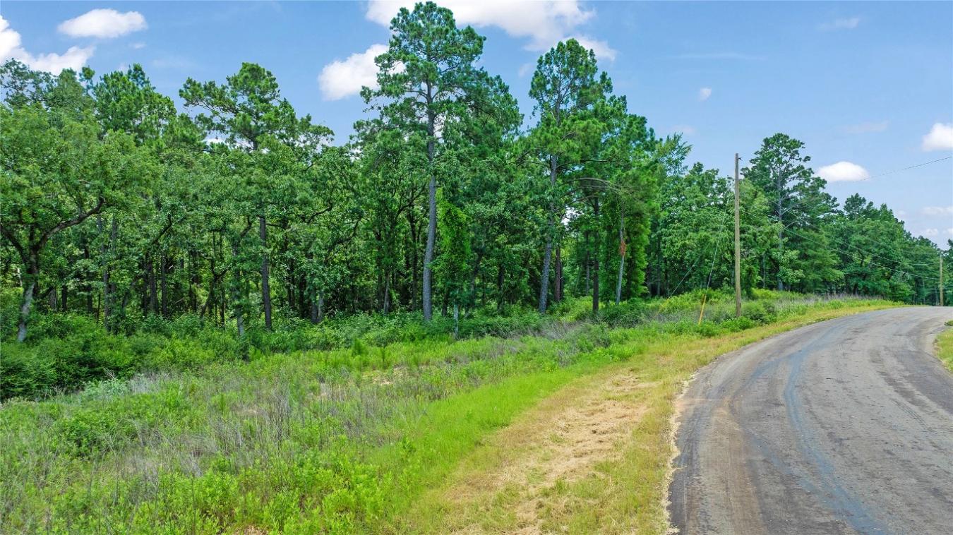 000 PR 1314, Centerville, TX, 75833, United States, ,Residential,For Sale,000 PR 1314,216084
