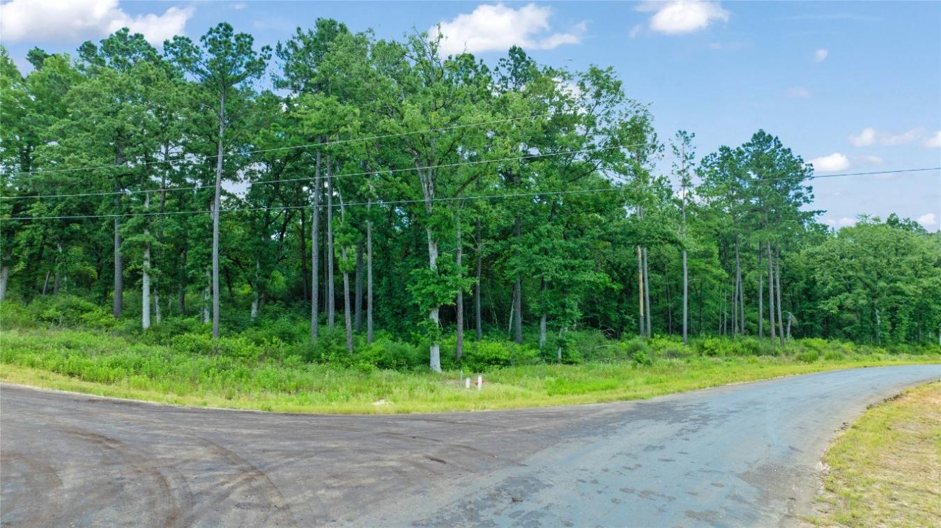 000 PR 1314, Centerville, TX, 75833, United States, ,Residential,For Sale,000 PR 1314,216084