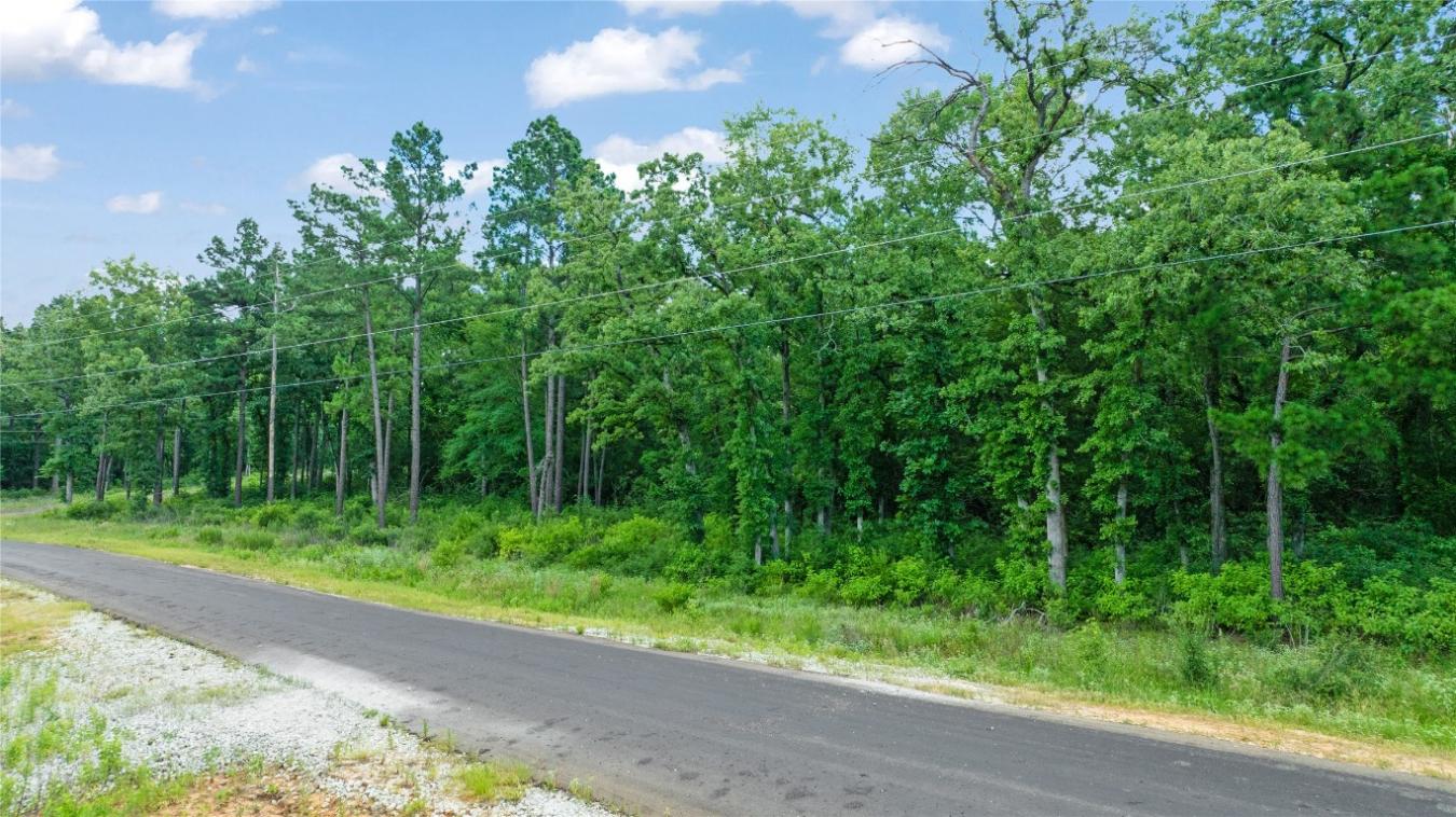 000 PR 1314, Centerville, TX, 75833, United States, ,Residential,For Sale,000 PR 1314,216084