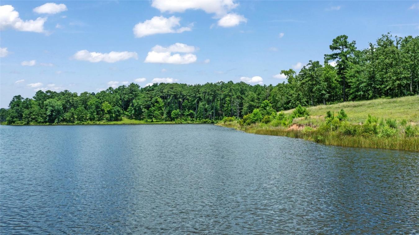 000 PR 1314, Centerville, TX, 75833, United States, ,Residential,For Sale,000 PR 1314,216084