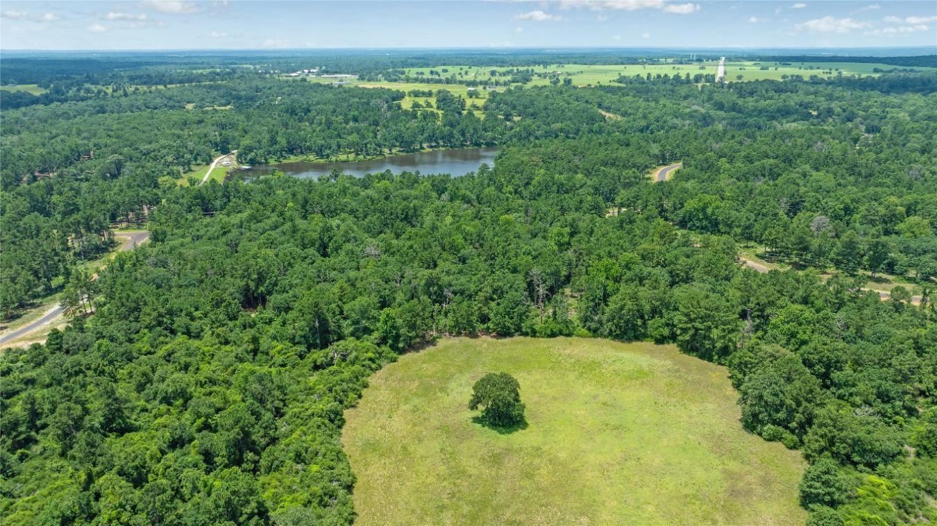 000 PR 1314, Centerville, TX, 75833, United States, ,Residential,For Sale,000 PR 1314,216084