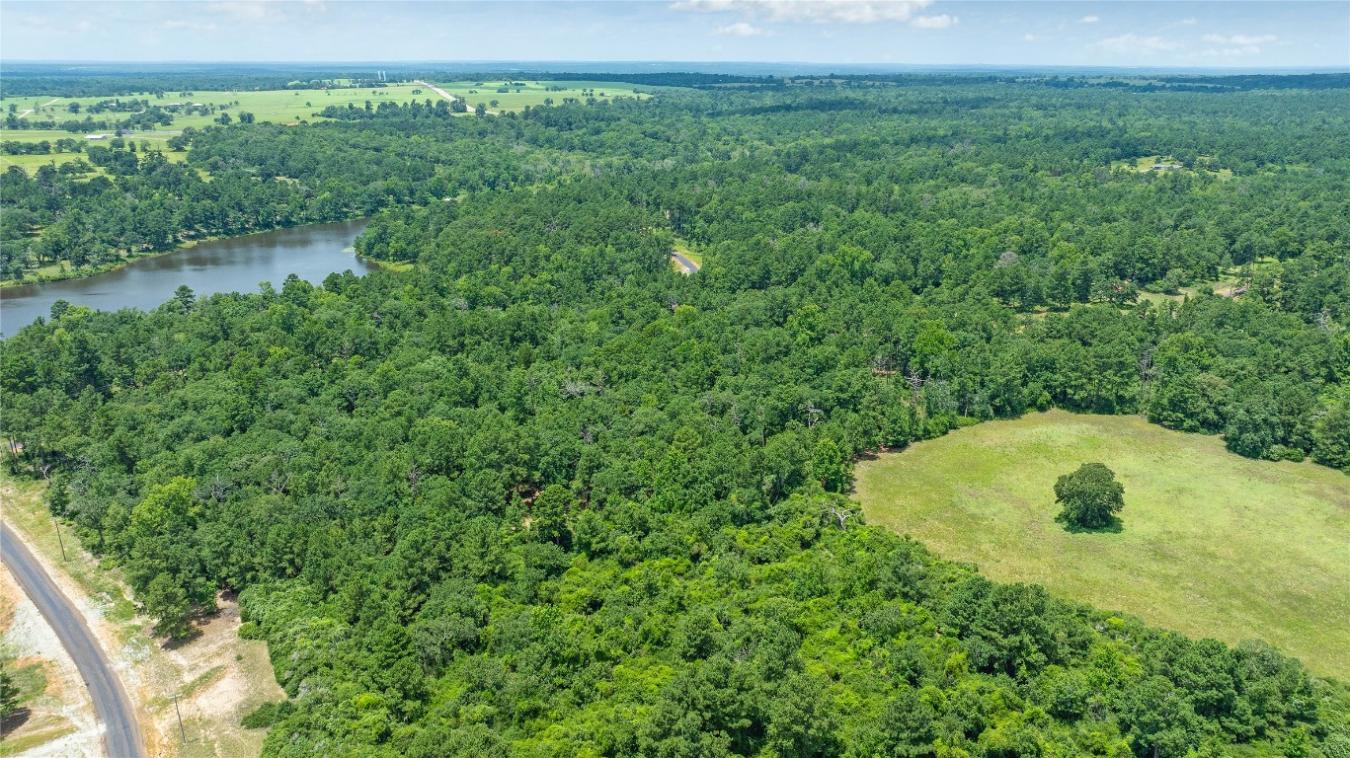 000 PR 1314, Centerville, TX, 75833, United States, ,Residential,For Sale,000 PR 1314,216084