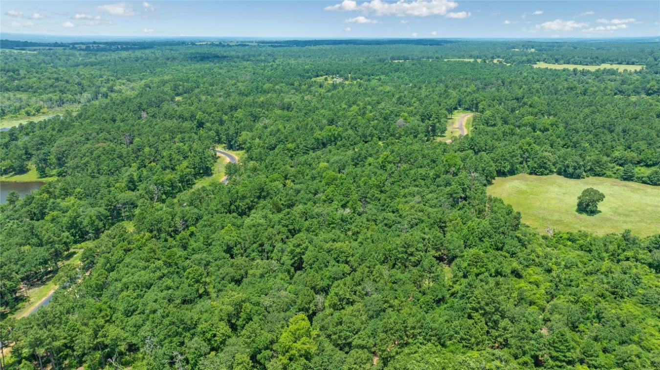 000 PR 1314, Centerville, TX, 75833, United States, ,Residential,For Sale,000 PR 1314,216084