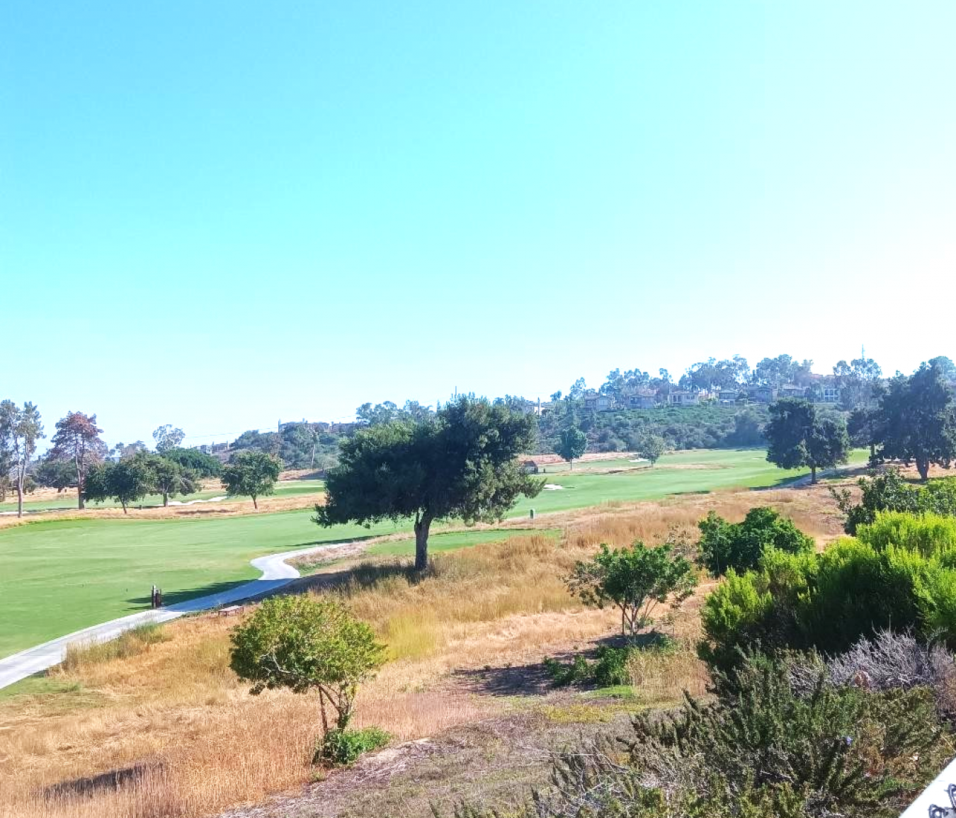 Carlsbad, San Diego, 92009, United States, 5 Bedrooms Bedrooms, ,5 BathroomsBathrooms,Residential,For Sale,1892333