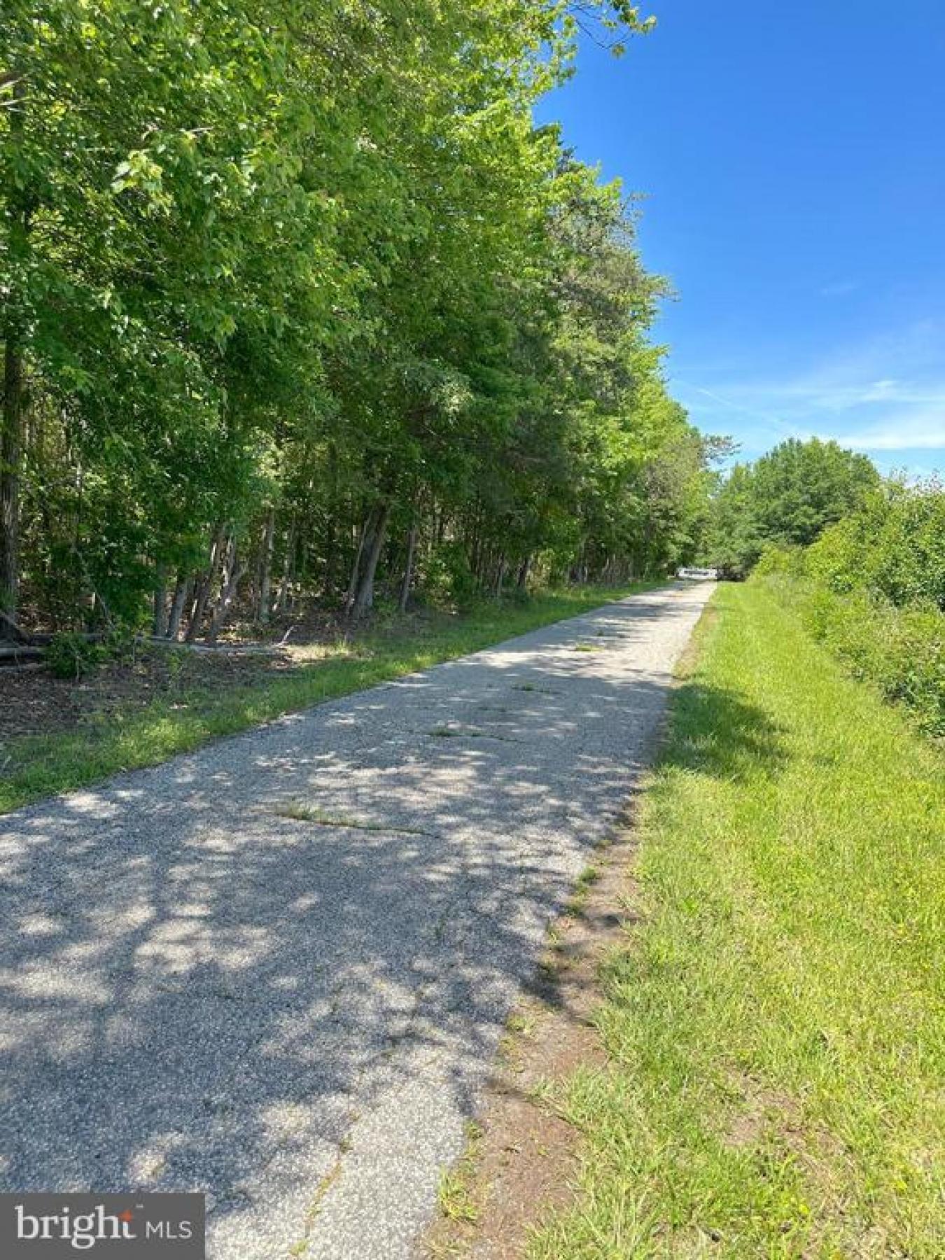 WALDORF, Maryland, 20603, United States, 6 Bedrooms Bedrooms, ,3 BathroomsBathrooms,Residential,For Sale,1893118