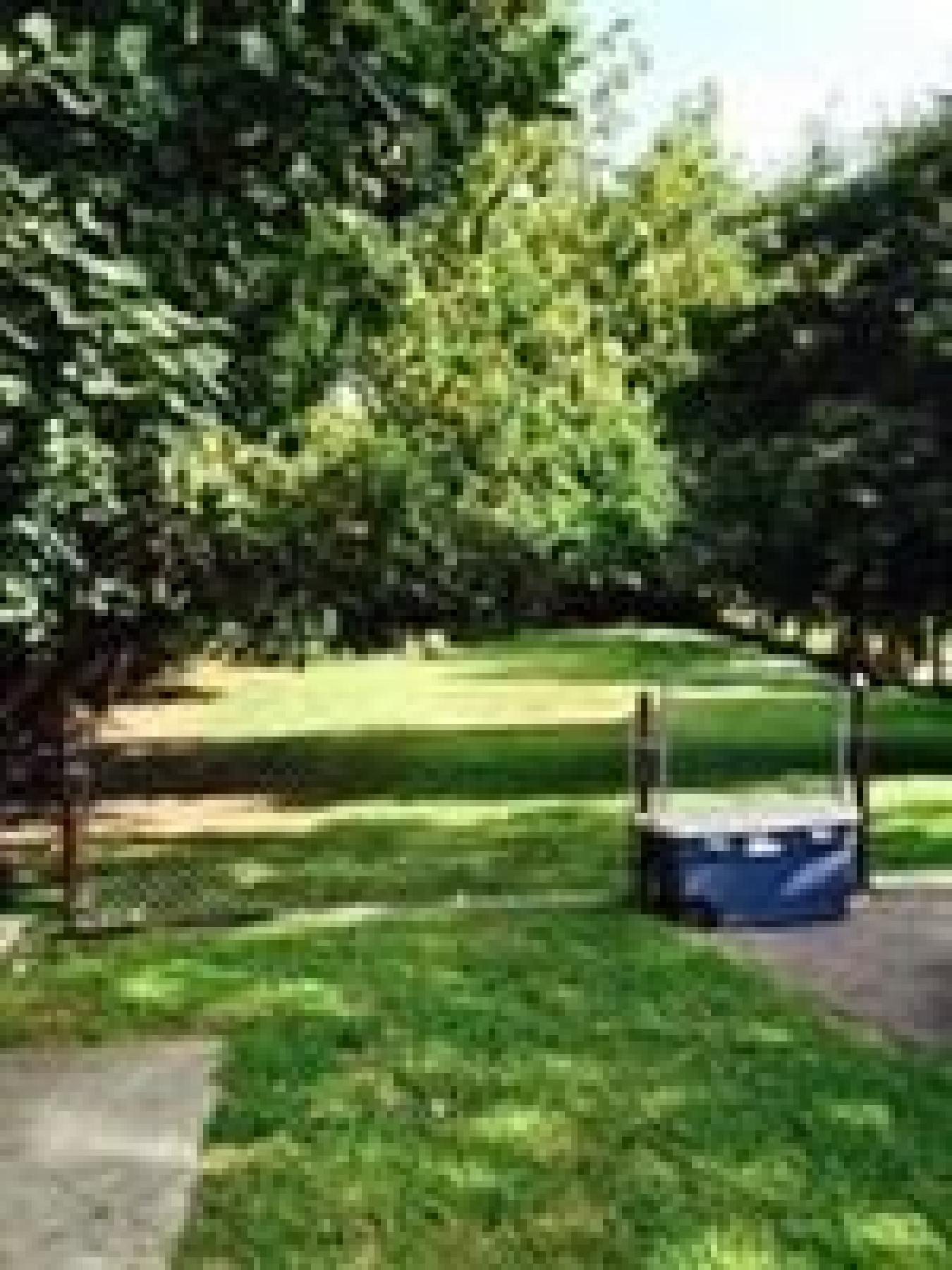 Newton, Massachusetts, 02458, United States, 4 Bedrooms Bedrooms, ,2 BathroomsBathrooms,Residential,For Sale,1893114