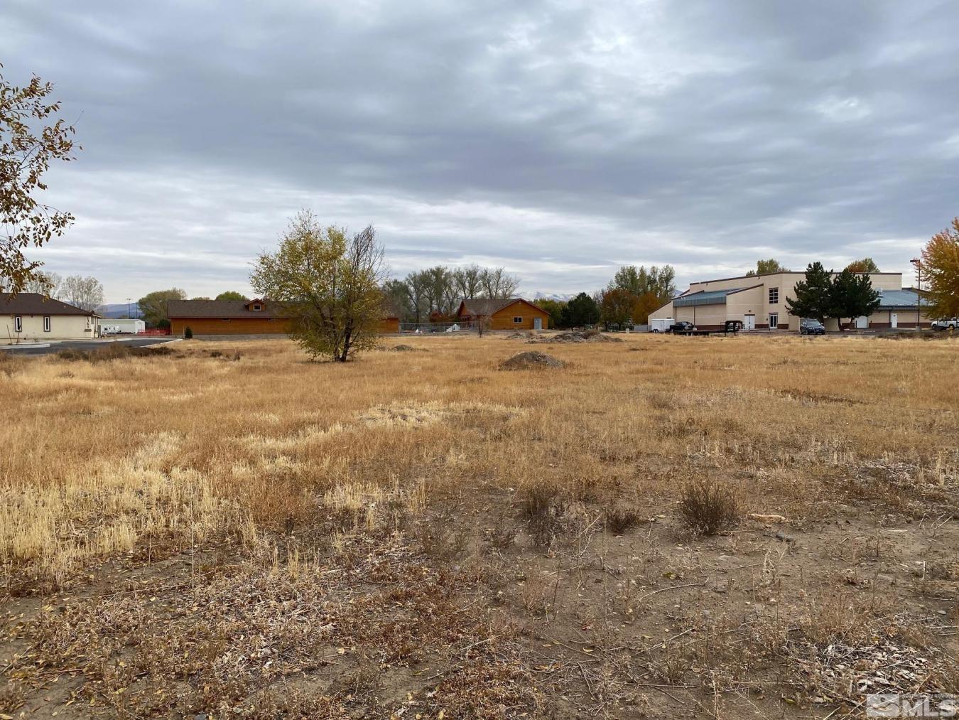 Gardnerville, Nevada, 89410, United States, ,Residential,For Sale,1893063