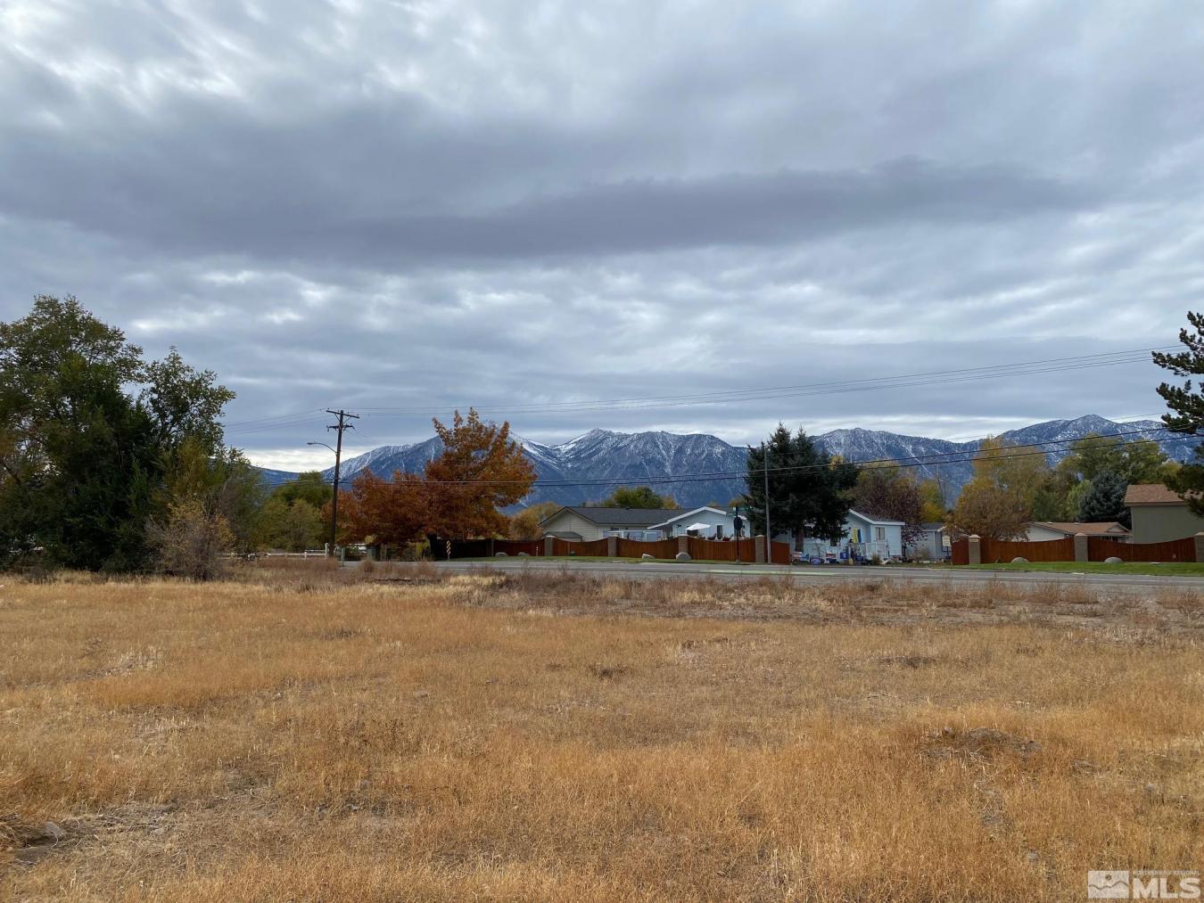 Gardnerville, Nevada, 89410, United States, ,Residential,For Sale,1893063
