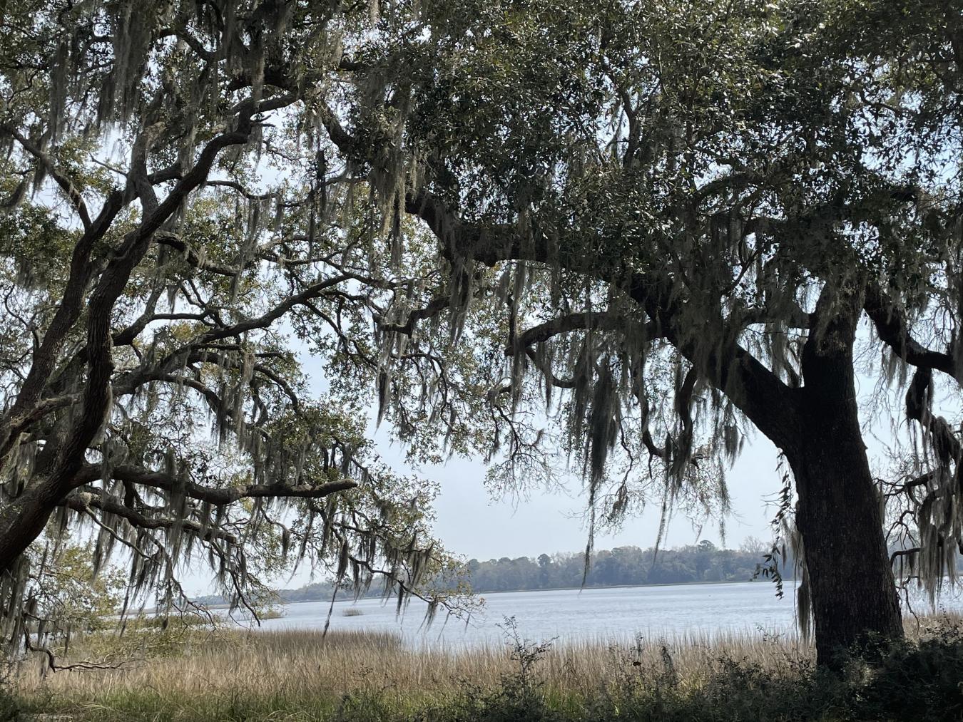 Seabrook, Beaufort, 29940, United States, ,Residential,For Sale,1893059