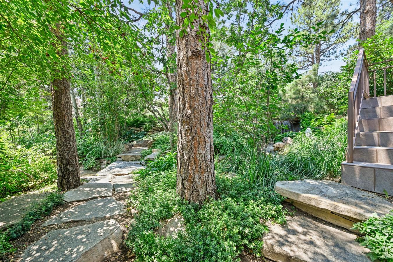 Castle Rock, Douglas, 80108, United States, 5 Bedrooms Bedrooms, ,5 BathroomsBathrooms,Residential,For Sale,1904079