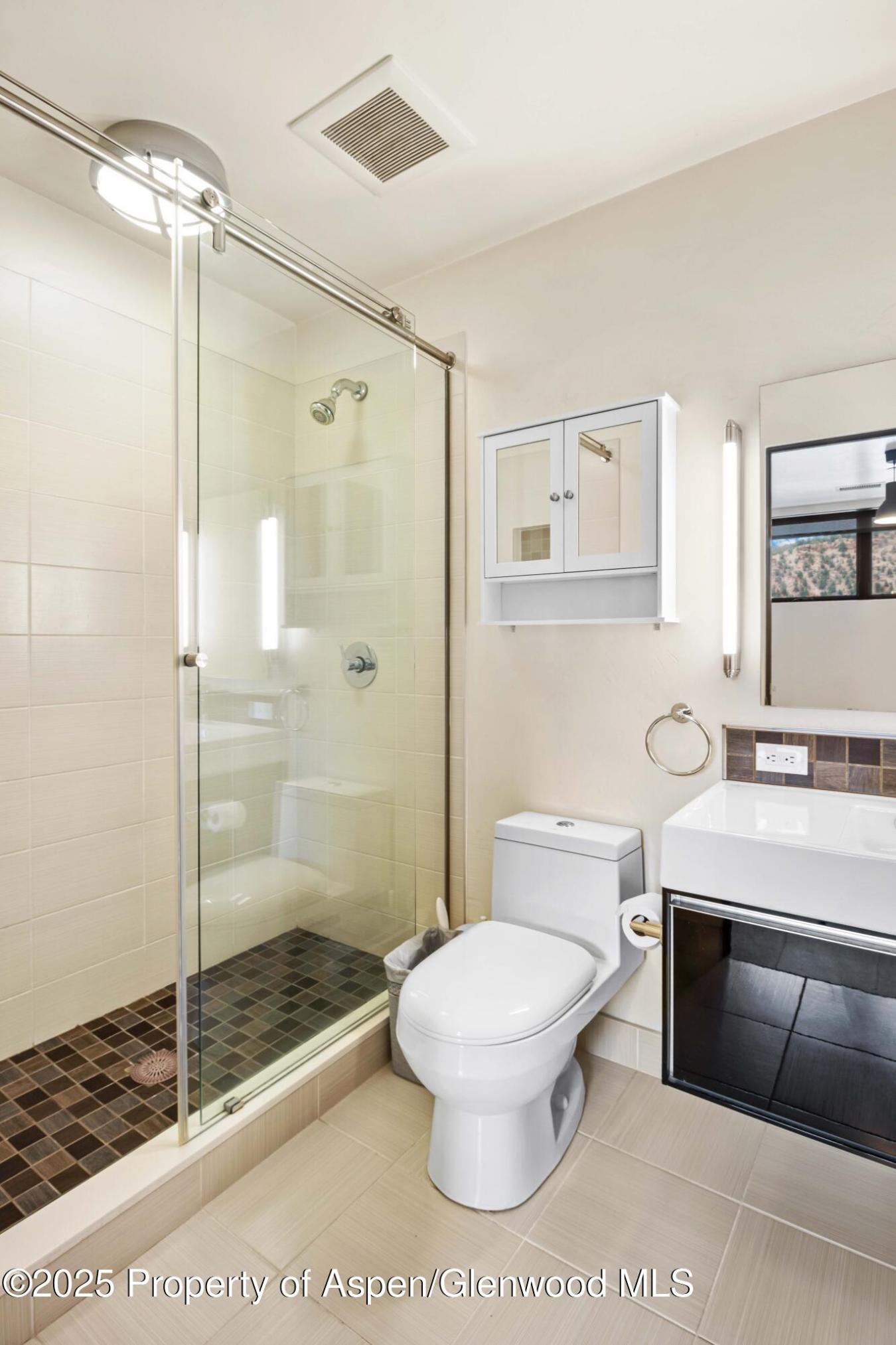Carbondale, Garfield, 81623, United States, 2 Bedrooms Bedrooms, ,2 BathroomsBathrooms,Residential,For Sale,1904059