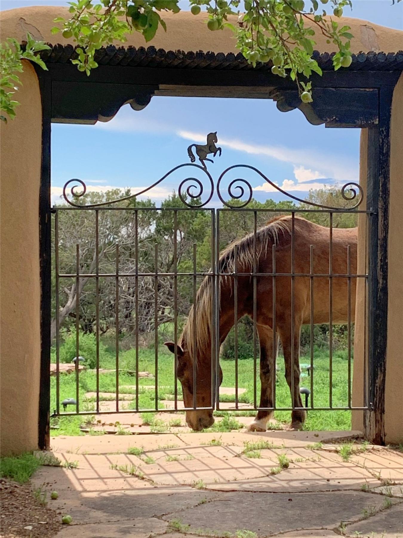 Santa Fe, Santa Fe, 87508, United States, 4 Bedrooms Bedrooms, ,3 BathroomsBathrooms,Residential,For Sale,1907936