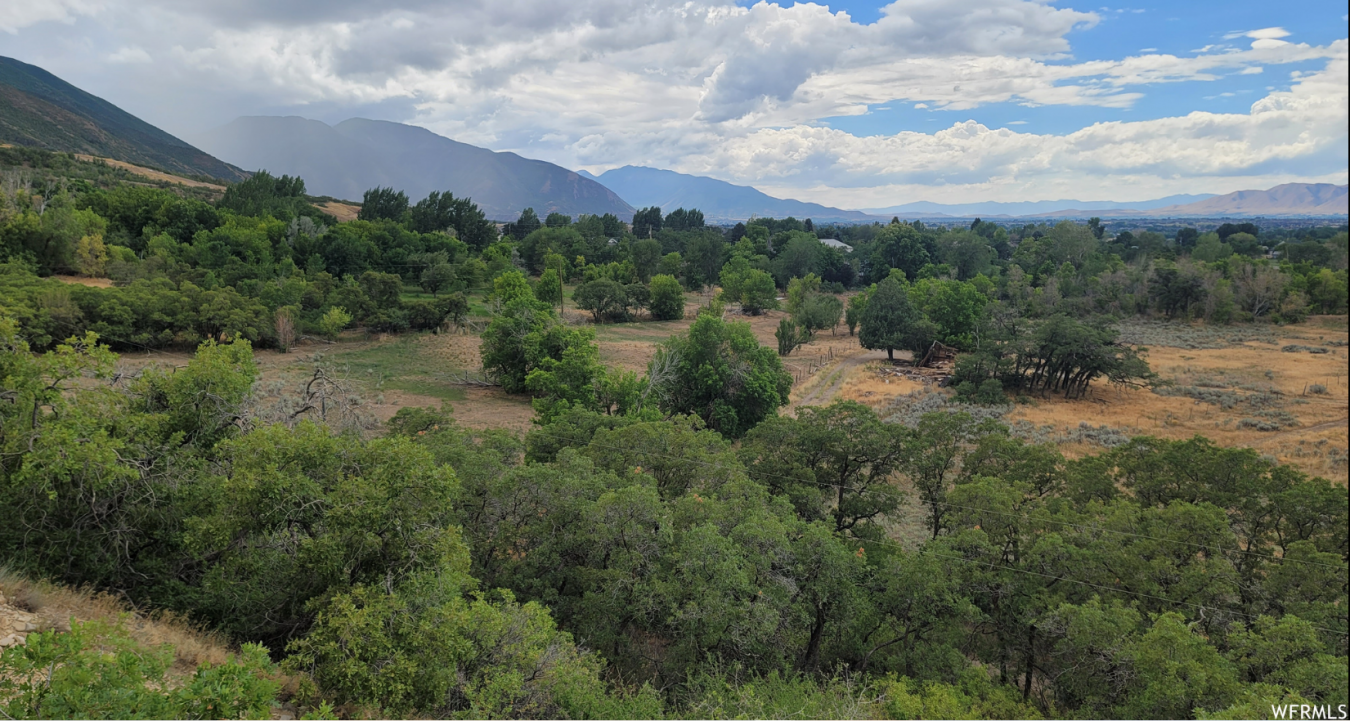 Mapleton, Utah, 84664, United States, ,Residential,For Sale,1909771