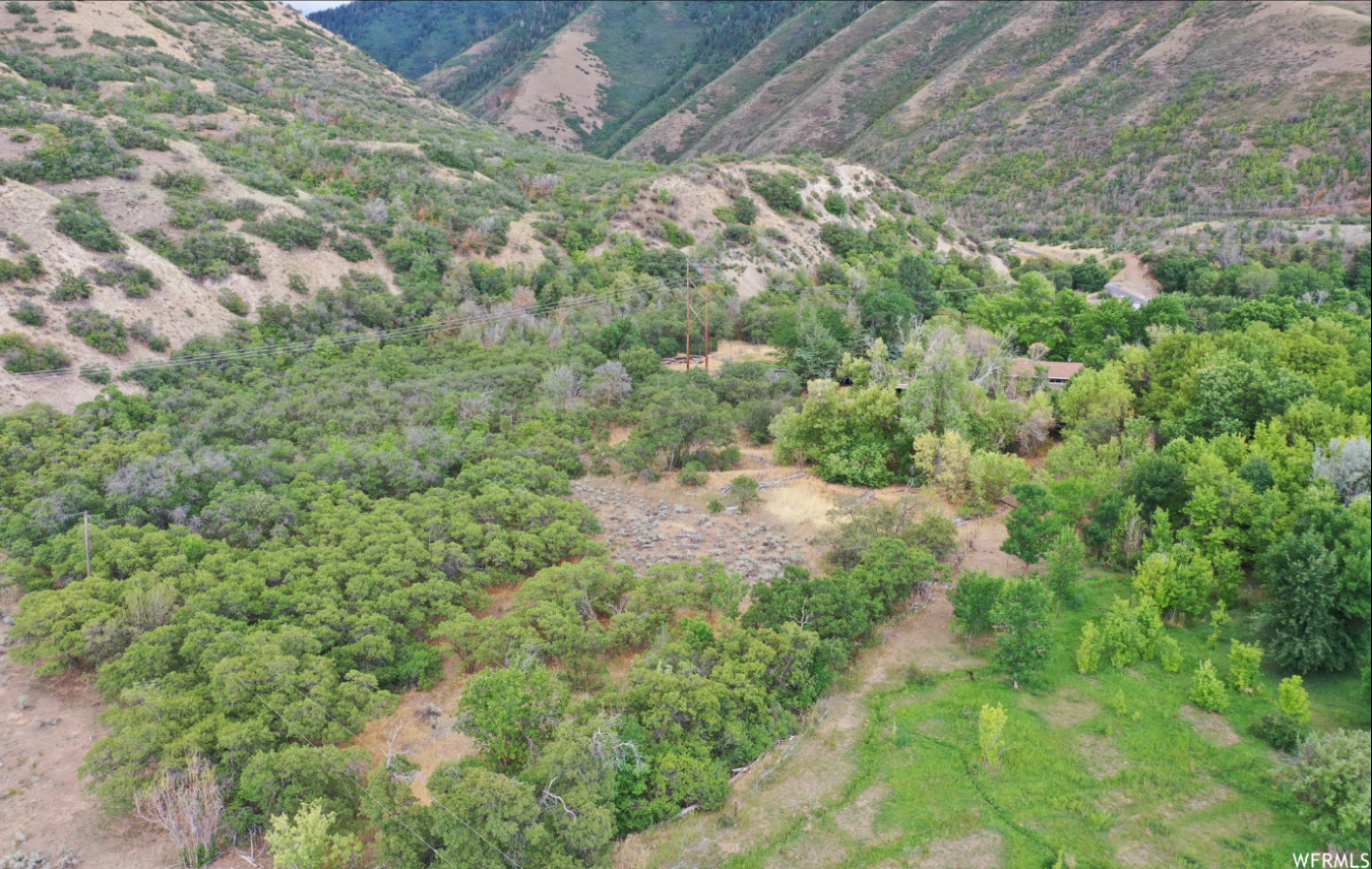 Mapleton, Utah, 84664, United States, ,Residential,For Sale,1909771