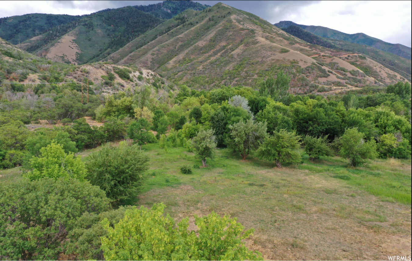 Mapleton, Utah, 84664, United States, ,Residential,For Sale,1909771